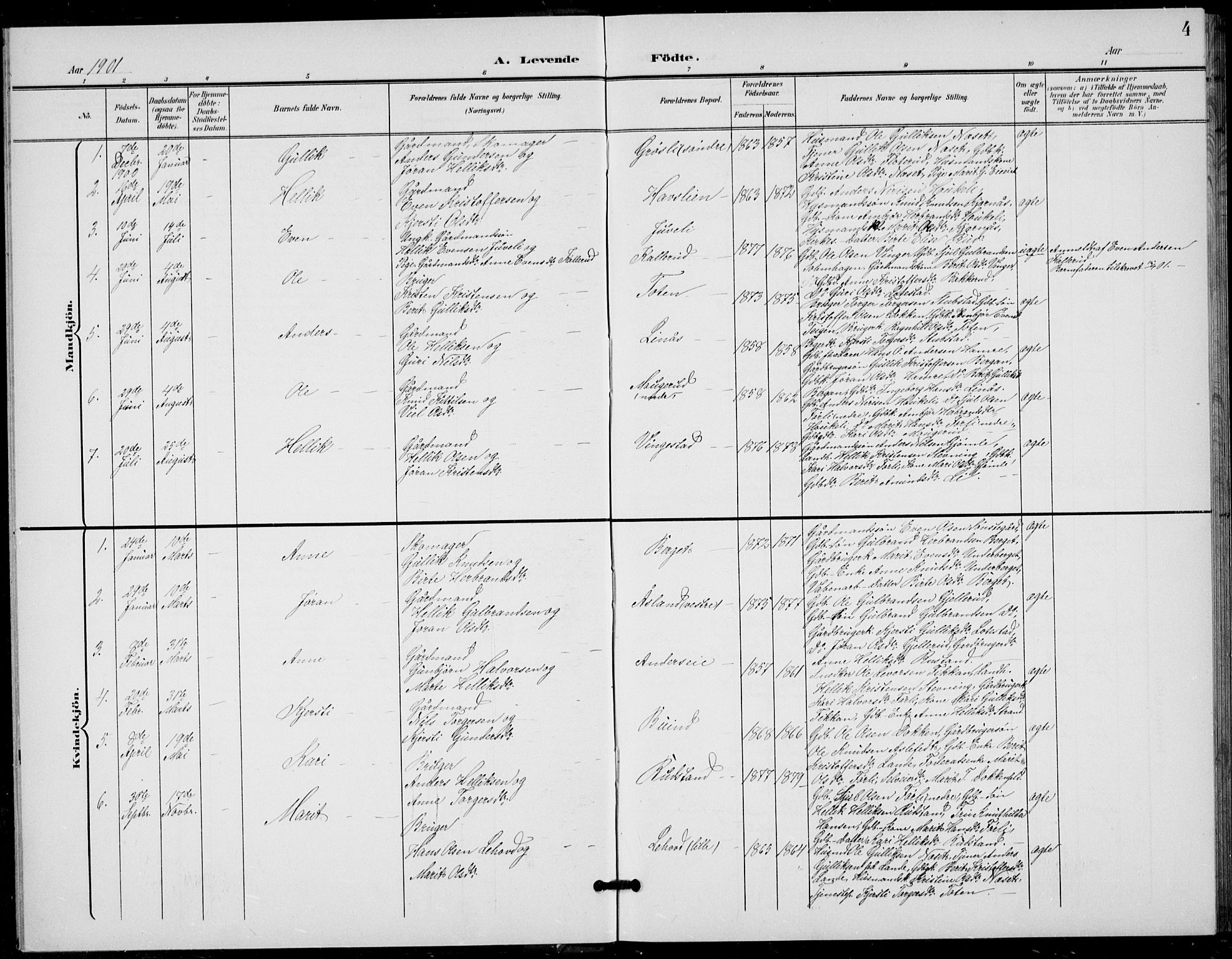 Flesberg kirkebøker, AV/SAKO-A-18/G/Ga/L0005: Parish register (copy) no. I 5, 1899-1908, p. 4