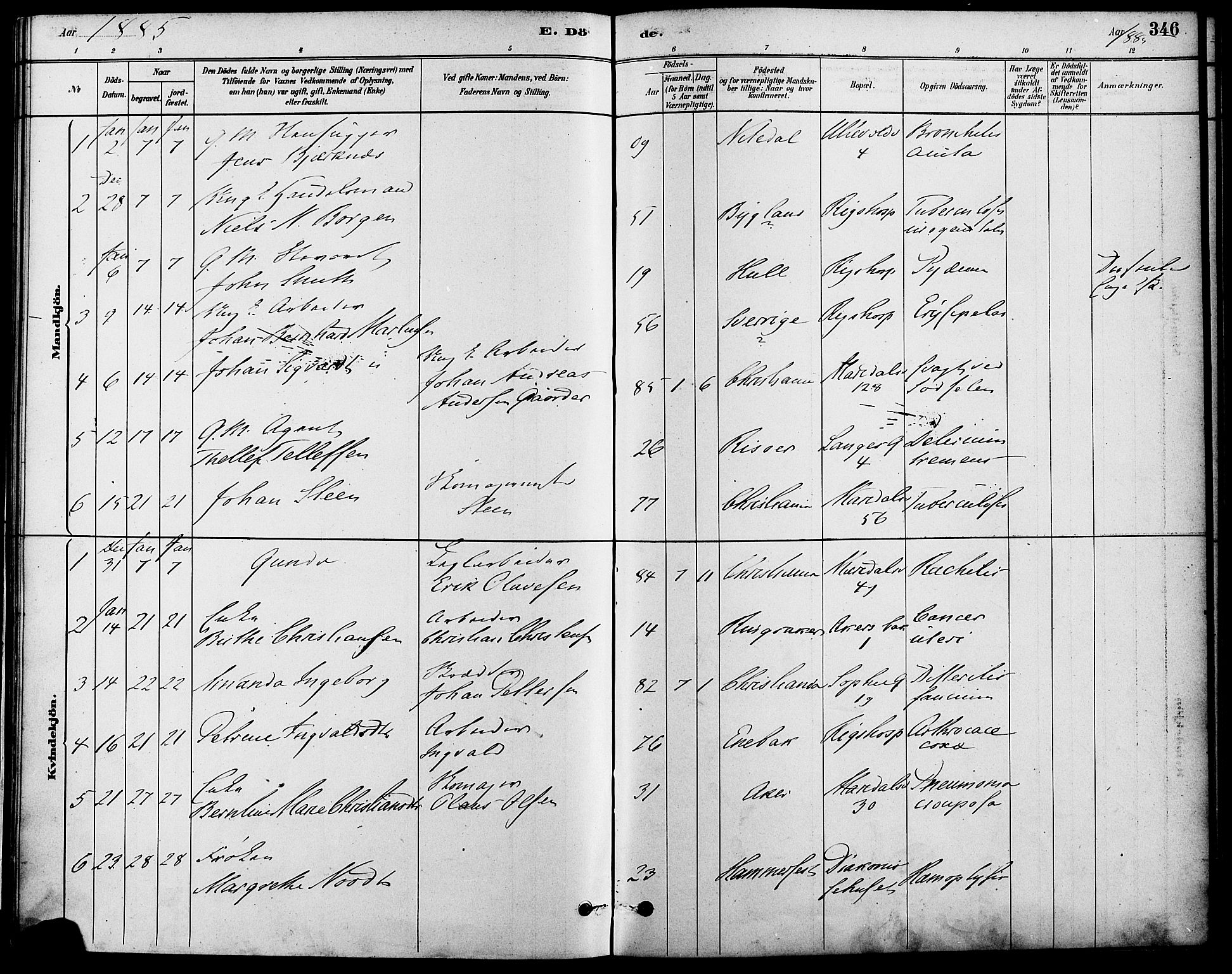 Gamle Aker prestekontor Kirkebøker, SAO/A-10617a/F/L0006: Parish register (official) no. 6, 1880-1887, p. 346