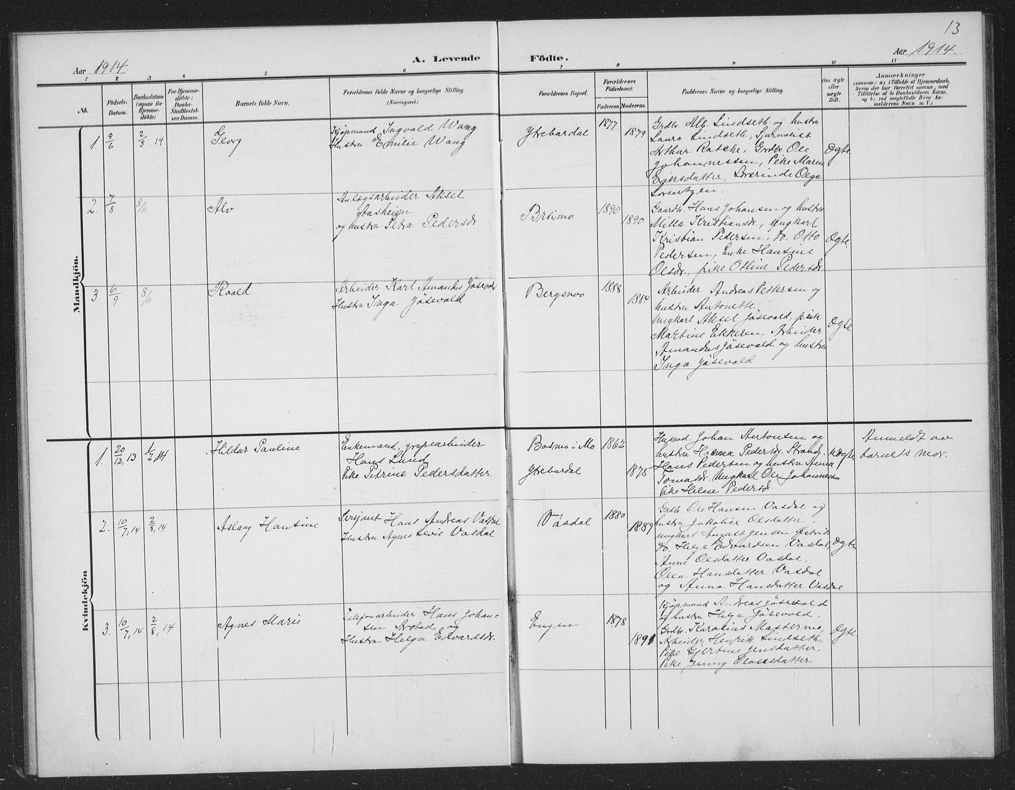 Ministerialprotokoller, klokkerbøker og fødselsregistre - Nordland, AV/SAT-A-1459/833/L0502: Parish register (copy) no. 833C01, 1906-1934, p. 13