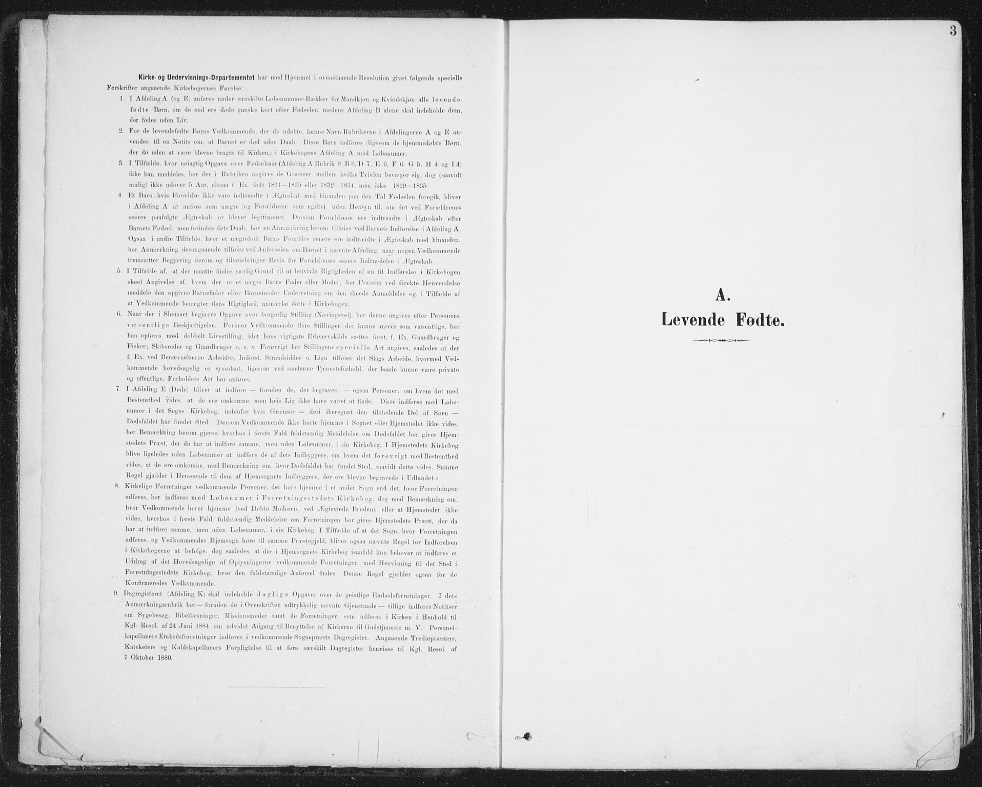 Ministerialprotokoller, klokkerbøker og fødselsregistre - Nordland, SAT/A-1459/852/L0741: Parish register (official) no. 852A11, 1894-1917, p. 3
