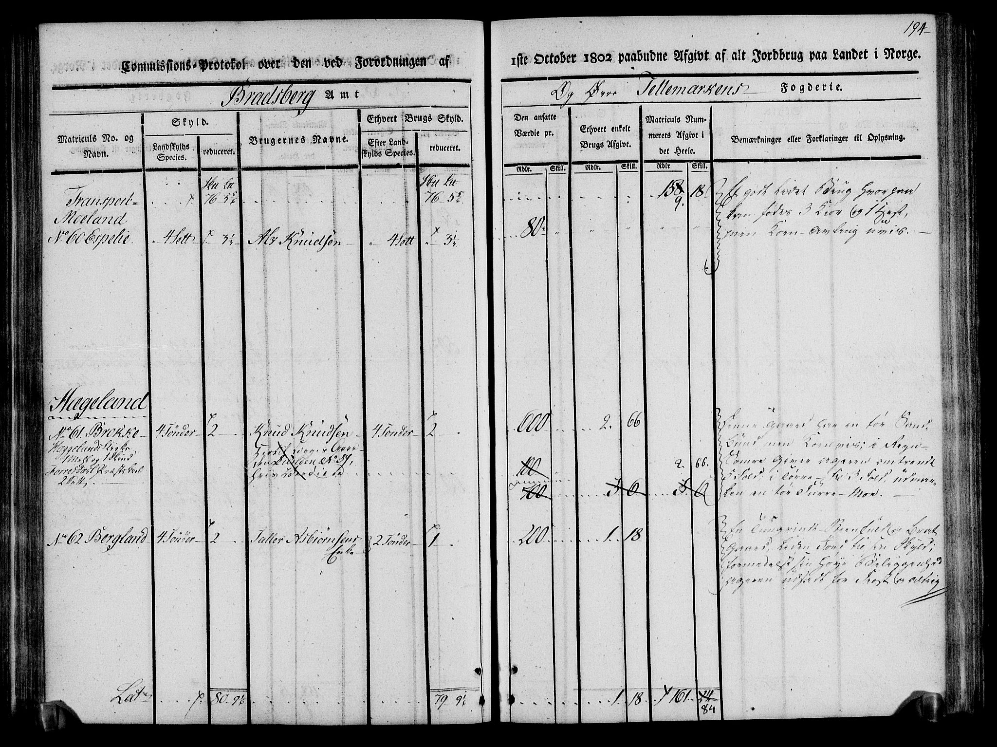 Rentekammeret inntil 1814, Realistisk ordnet avdeling, RA/EA-4070/N/Ne/Nea/L0075: Øvre Telemarken fogderi. Kommisjonsprotokoll for fogderiets vestre del - Kviteseid, Vinje, Moland [):Fyresdal] og Lårdal prestegjeld., 1803, p. 196