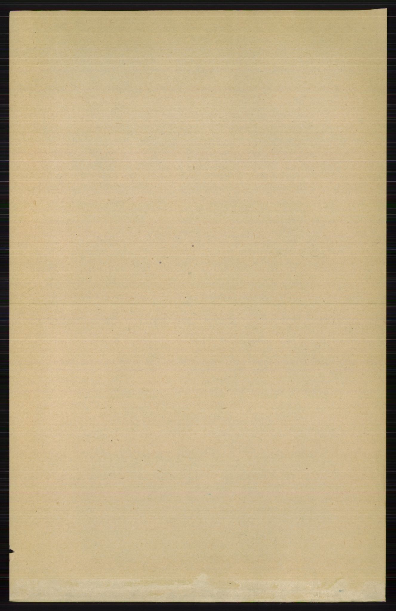 RA, 1891 census for 0543 Vestre Slidre, 1891, p. 2061