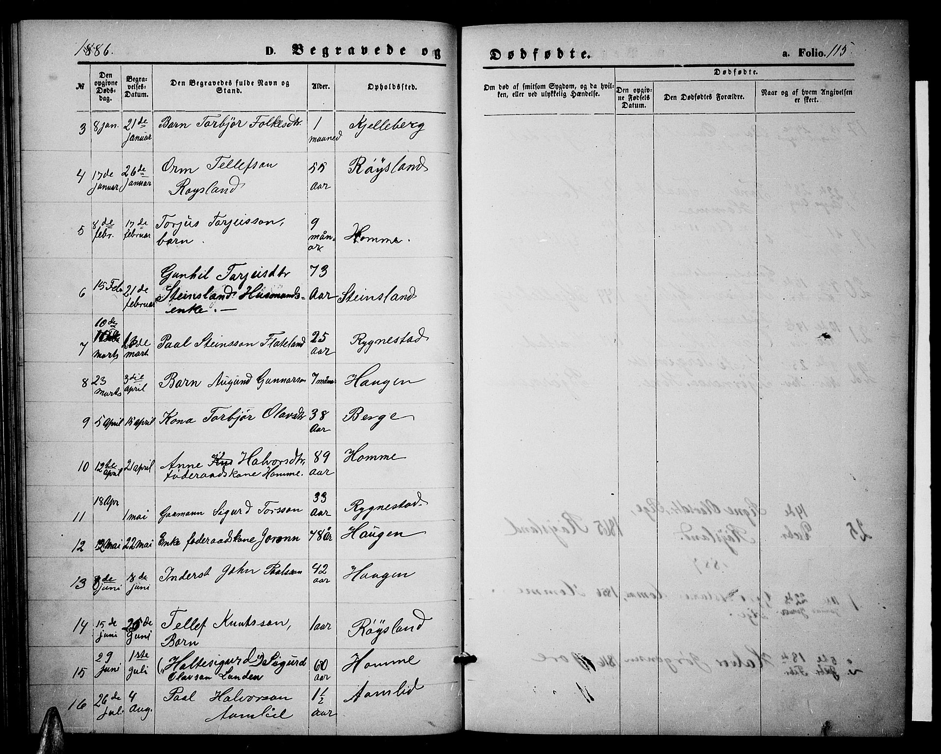 Valle sokneprestkontor, SAK/1111-0044/F/Fb/Fbc/L0003: Parish register (copy) no. B 3, 1871-1890, p. 115