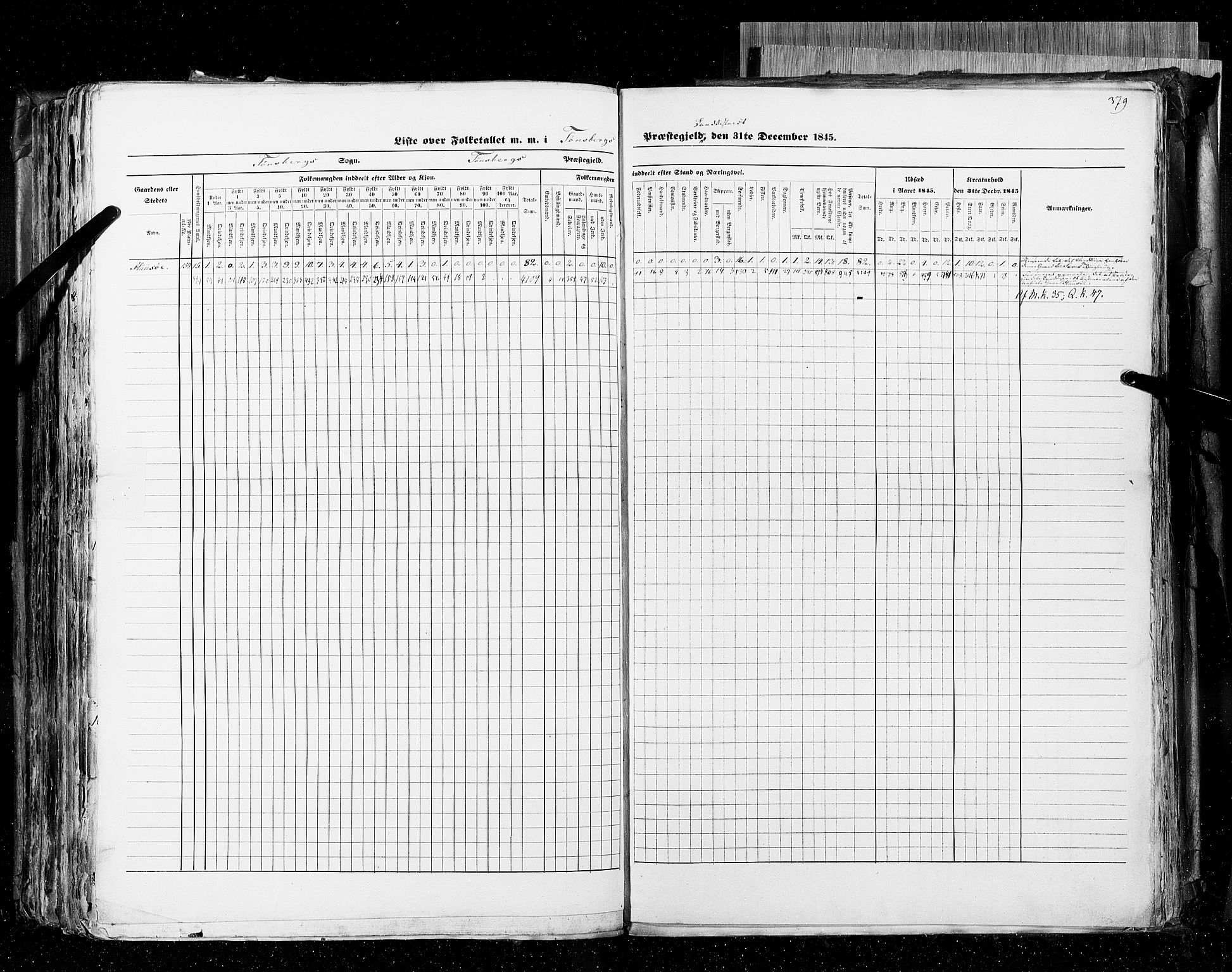 RA, Census 1845, vol. 4: Buskerud amt og Jarlsberg og Larvik amt, 1845, p. 379