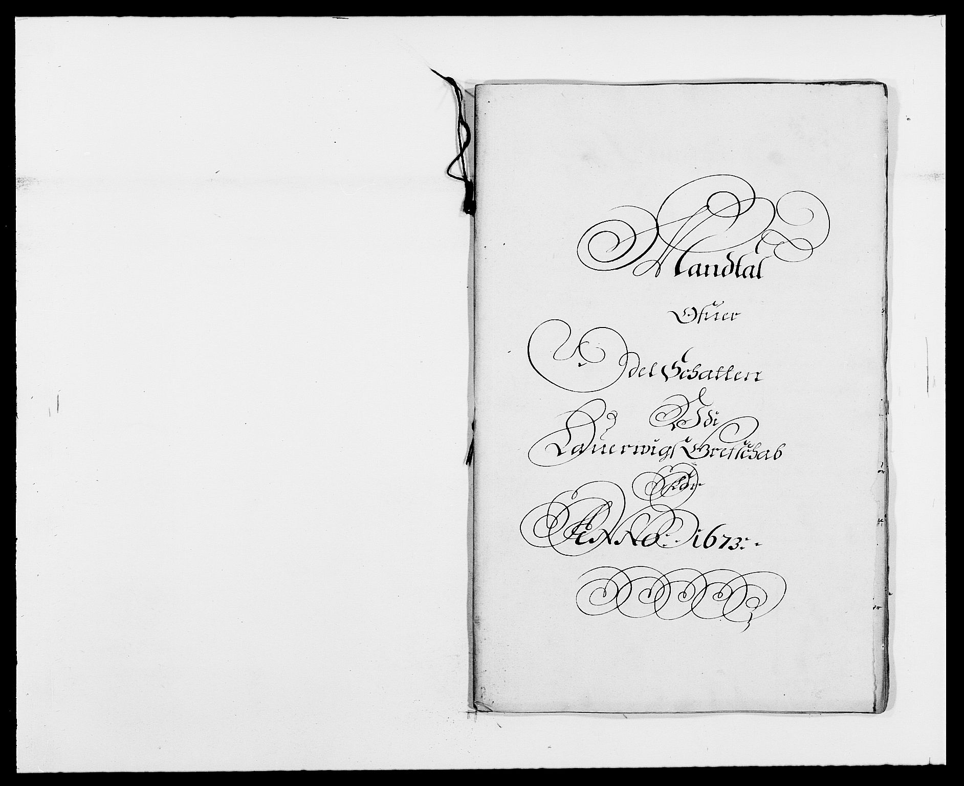 Rentekammeret inntil 1814, Reviderte regnskaper, Fogderegnskap, RA/EA-4092/R33/L1966: Fogderegnskap Larvik grevskap, 1672-1674, p. 141