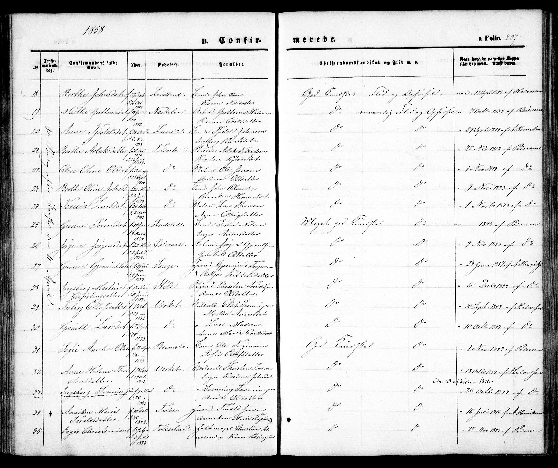 Holt sokneprestkontor, AV/SAK-1111-0021/F/Fa/L0008: Parish register (official) no. A 8, 1849-1860, p. 207