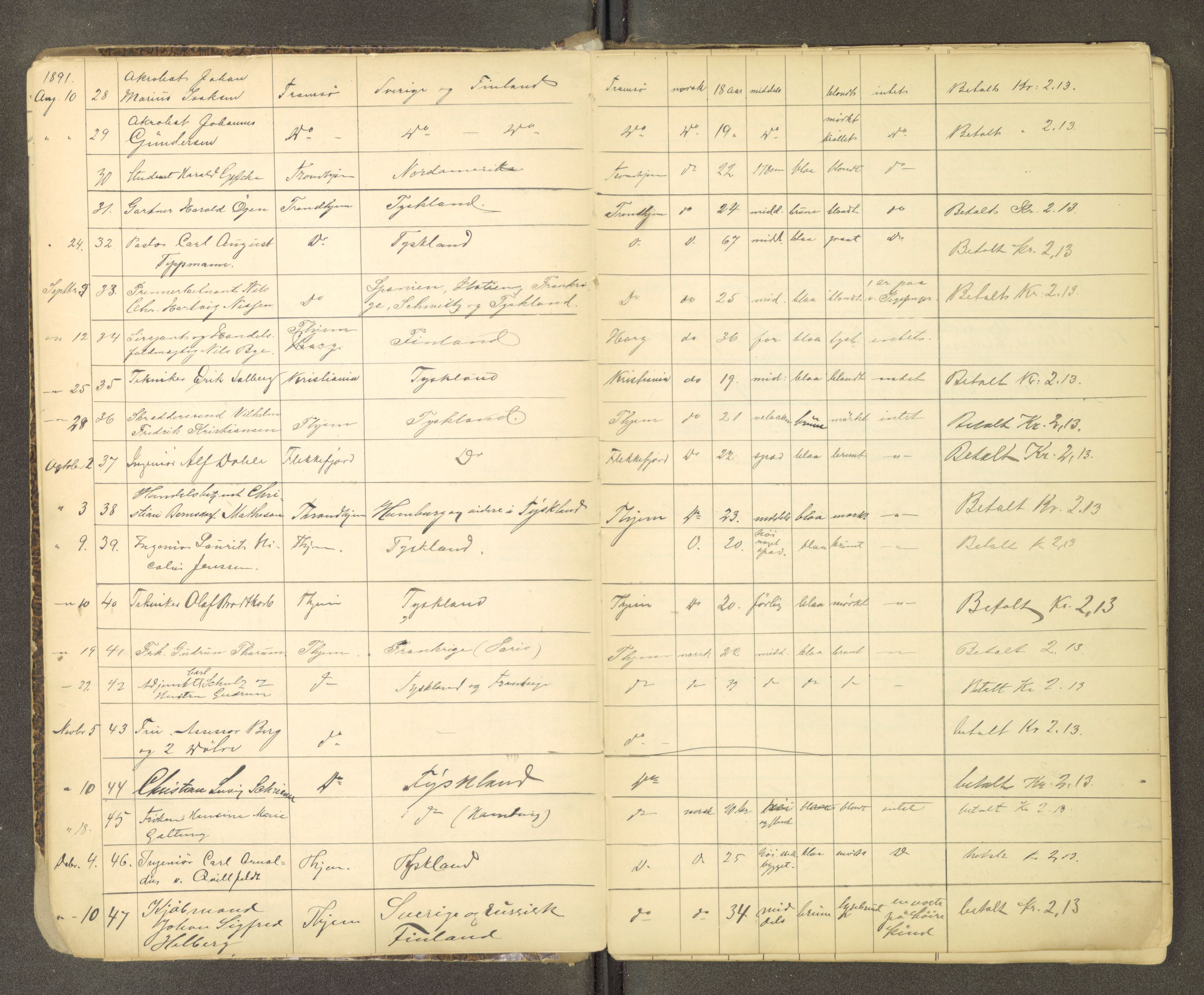 Trondheim politikammer, AV/SAT-A-1887/1/30/L0012: Passprotokoll. Utstedte pass, 1890-1908