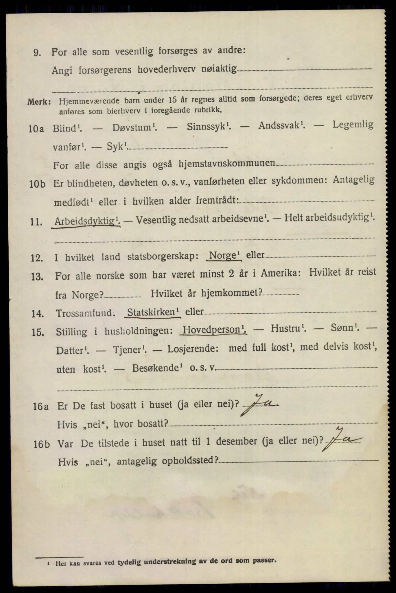 SAKO, 1920 census for Nes (Buskerud), 1920, p. 5065