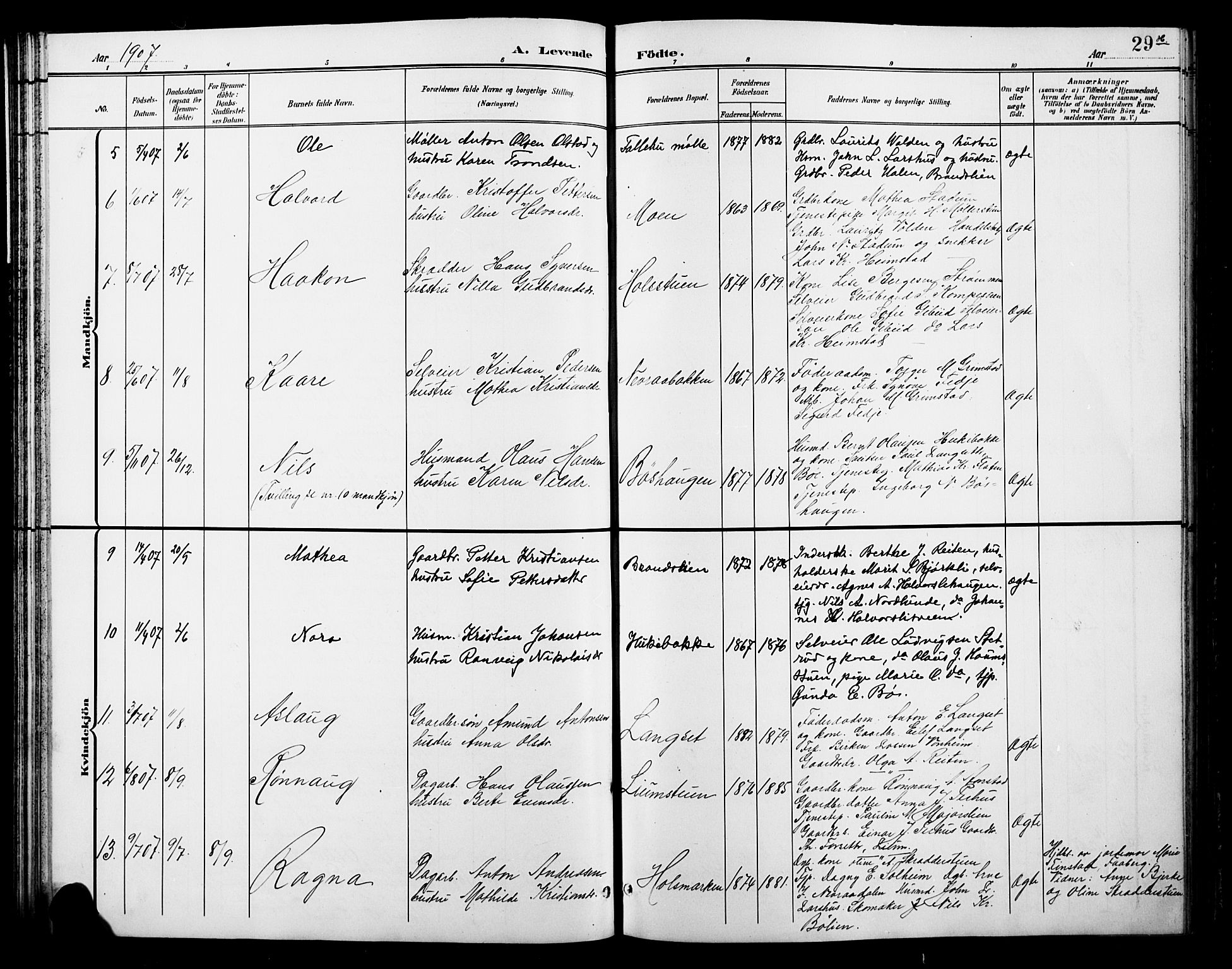 Østre Gausdal prestekontor, SAH/PREST-092/H/Ha/Hab/L0003: Parish register (copy) no. 3, 1894-1915, p. 29h