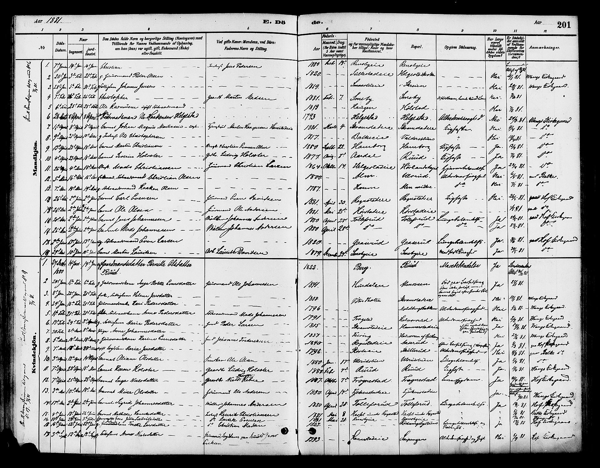 Østre Toten prestekontor, SAH/PREST-104/H/Ha/Haa/L0007: Parish register (official) no. 7, 1881-1896, p. 201