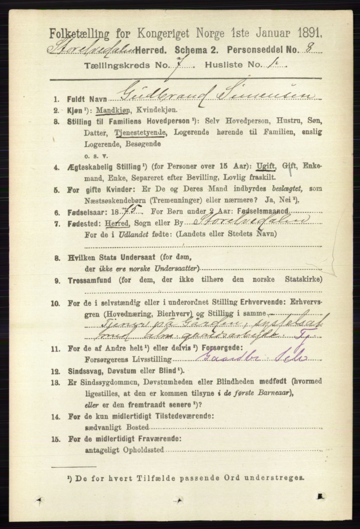 RA, 1891 census for 0430 Stor-Elvdal, 1891, p. 2655