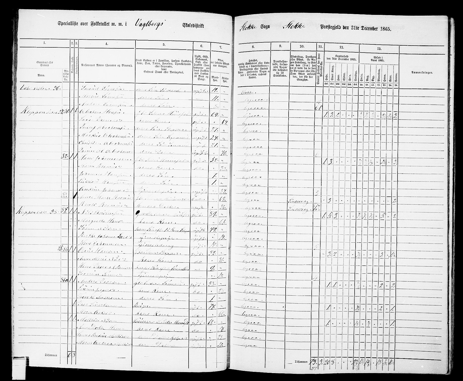 RA, 1865 census for Stokke, 1865, p. 68