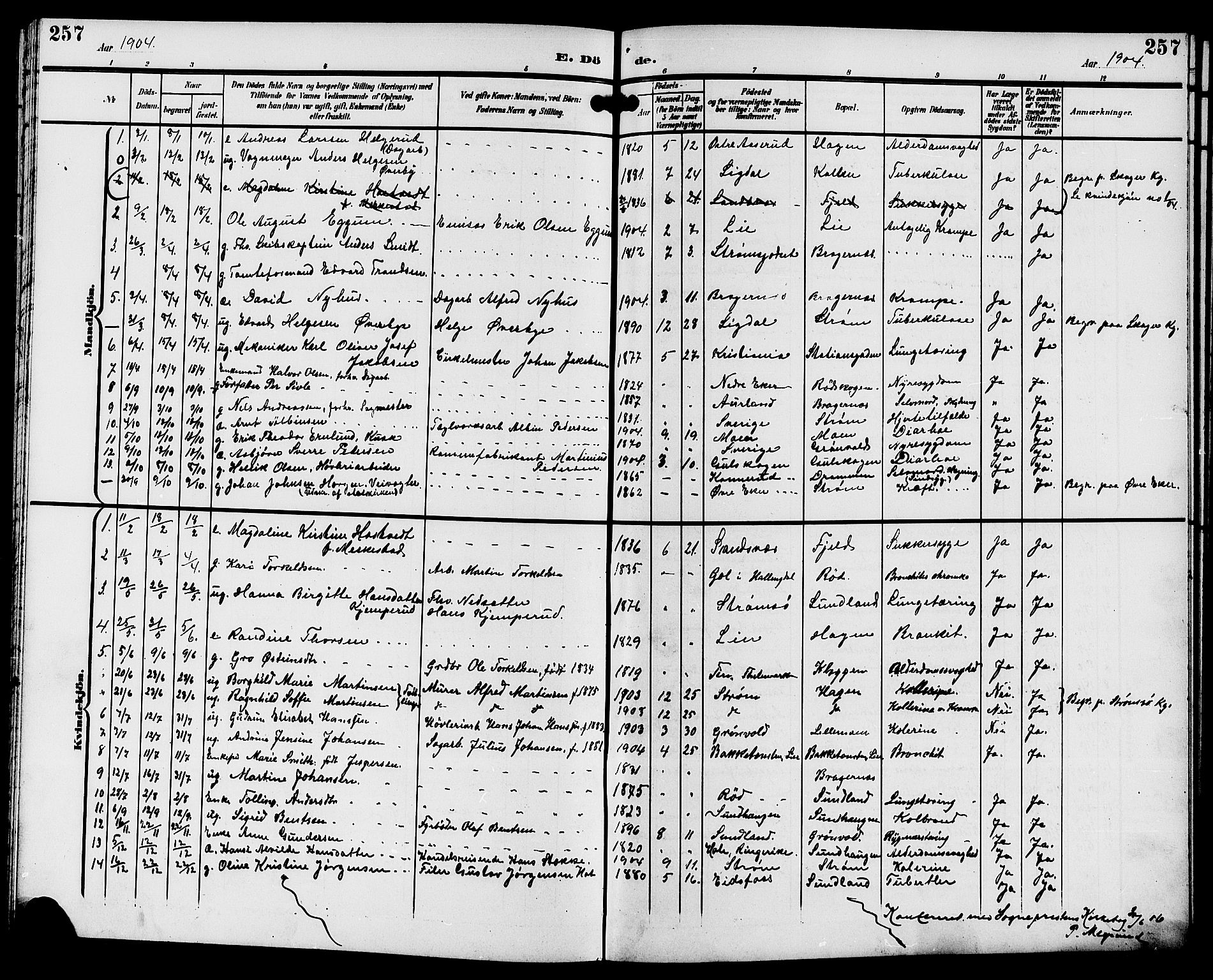 Strømsgodset kirkebøker, SAKO/A-324/G/Ga/L0002: Parish register (copy) no. 2, 1885-1910, p. 257