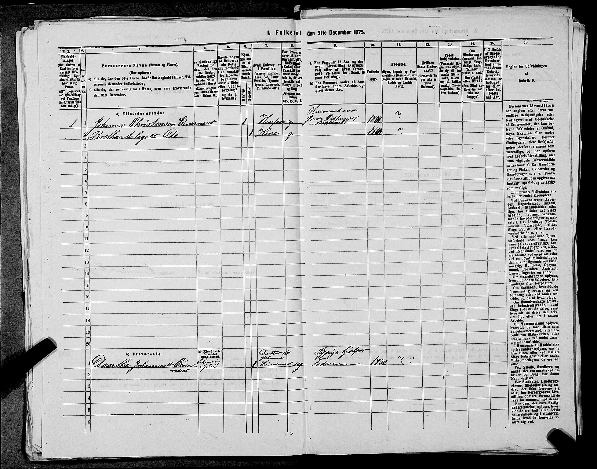 SAST, 1875 census for 1138P Jelsa, 1875, p. 336