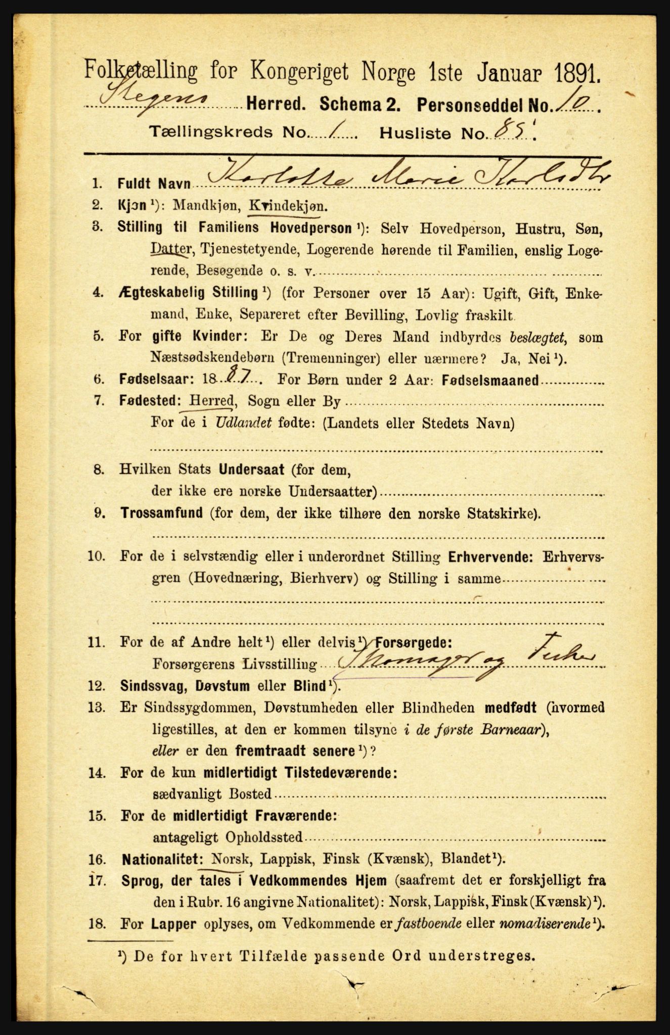 RA, 1891 census for 1848 Steigen, 1891, p. 608