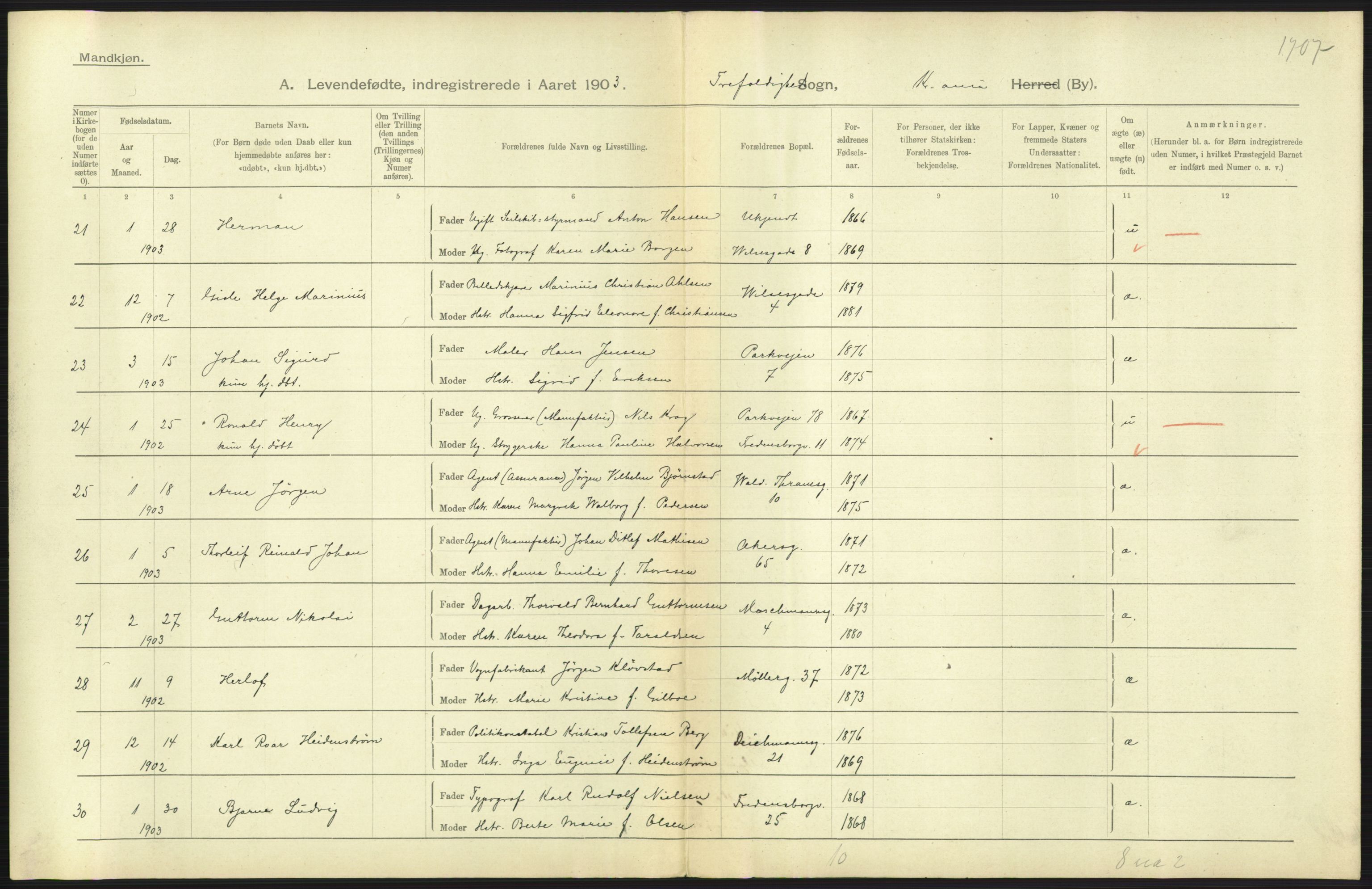 Statistisk sentralbyrå, Sosiodemografiske emner, Befolkning, AV/RA-S-2228/D/Df/Dfa/Dfaa/L0003: Kristiania: Fødte, 1903, p. 225