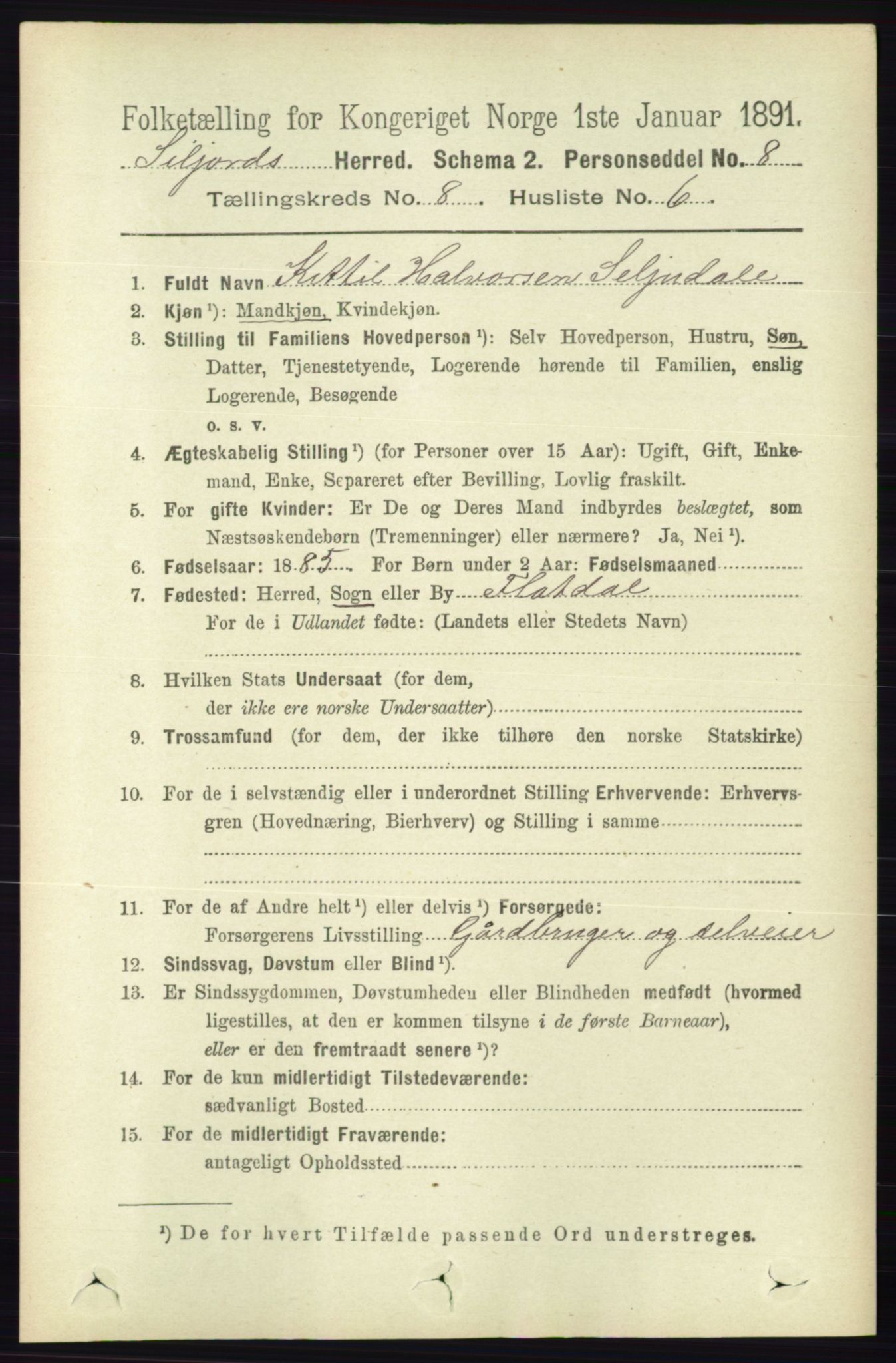 RA, 1891 census for 0828 Seljord, 1891, p. 2903