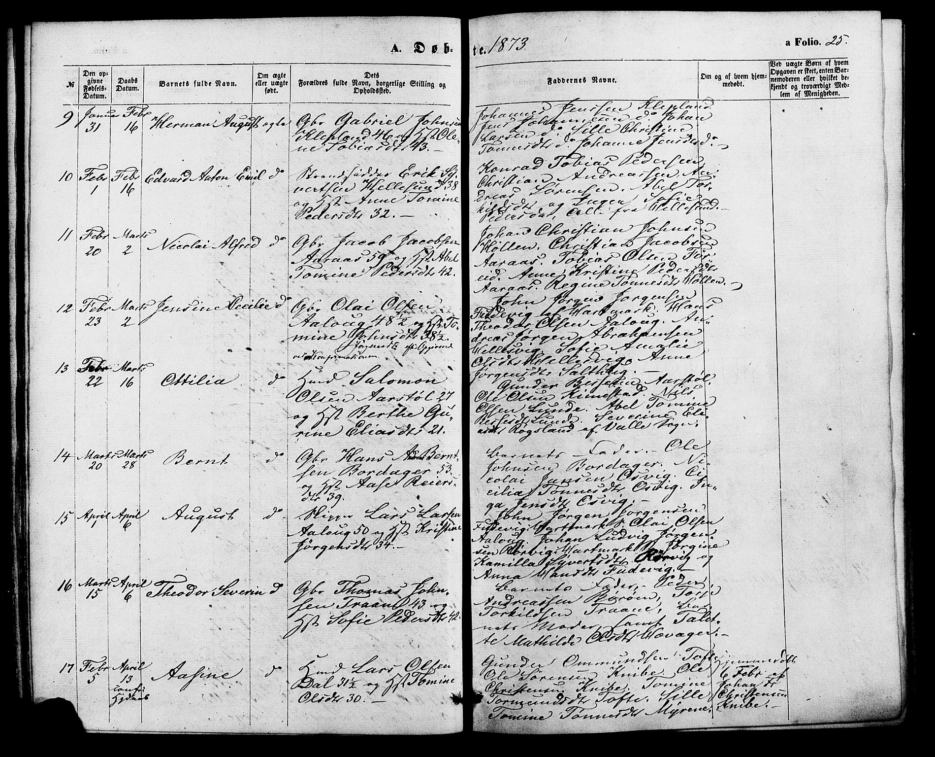 Søgne sokneprestkontor, SAK/1111-0037/F/Fa/Fab/L0011: Parish register (official) no. A 11, 1869-1879, p. 25