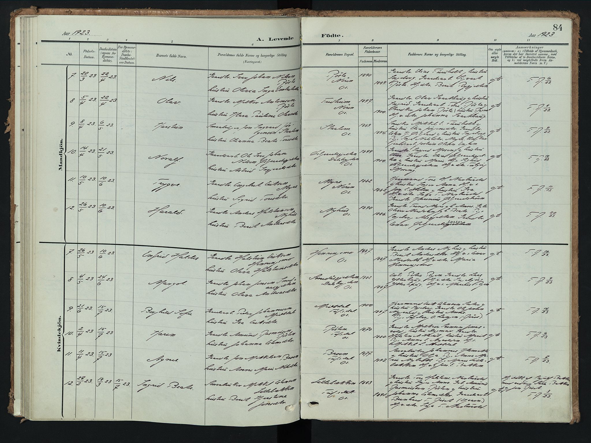 Tolga prestekontor, AV/SAH-PREST-062/K/L0009: Parish register (official) no. 9, 1903-1928, p. 84