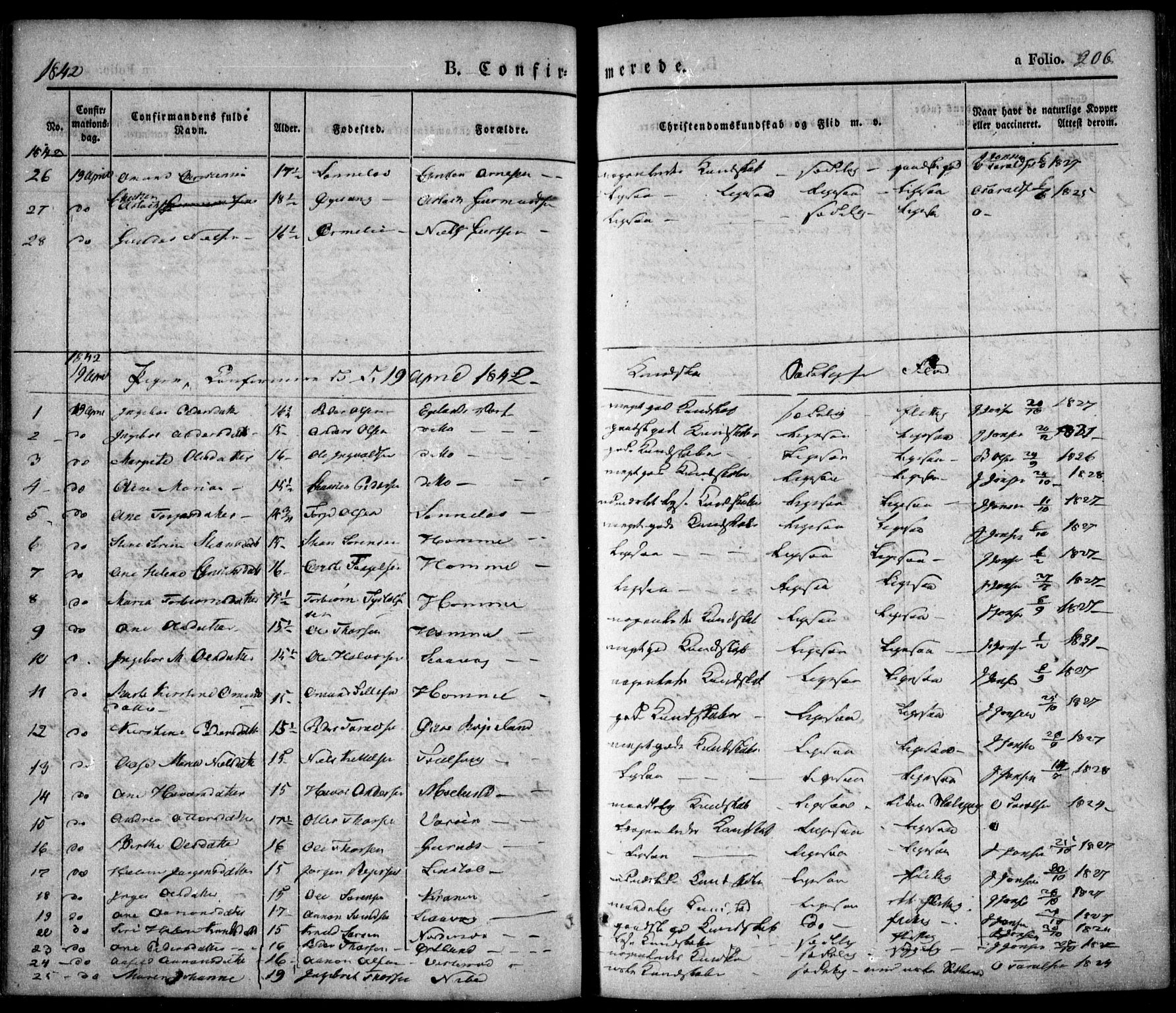 Søndeled sokneprestkontor, SAK/1111-0038/F/Fa/L0002: Parish register (official) no. A 2, 1839-1860, p. 206