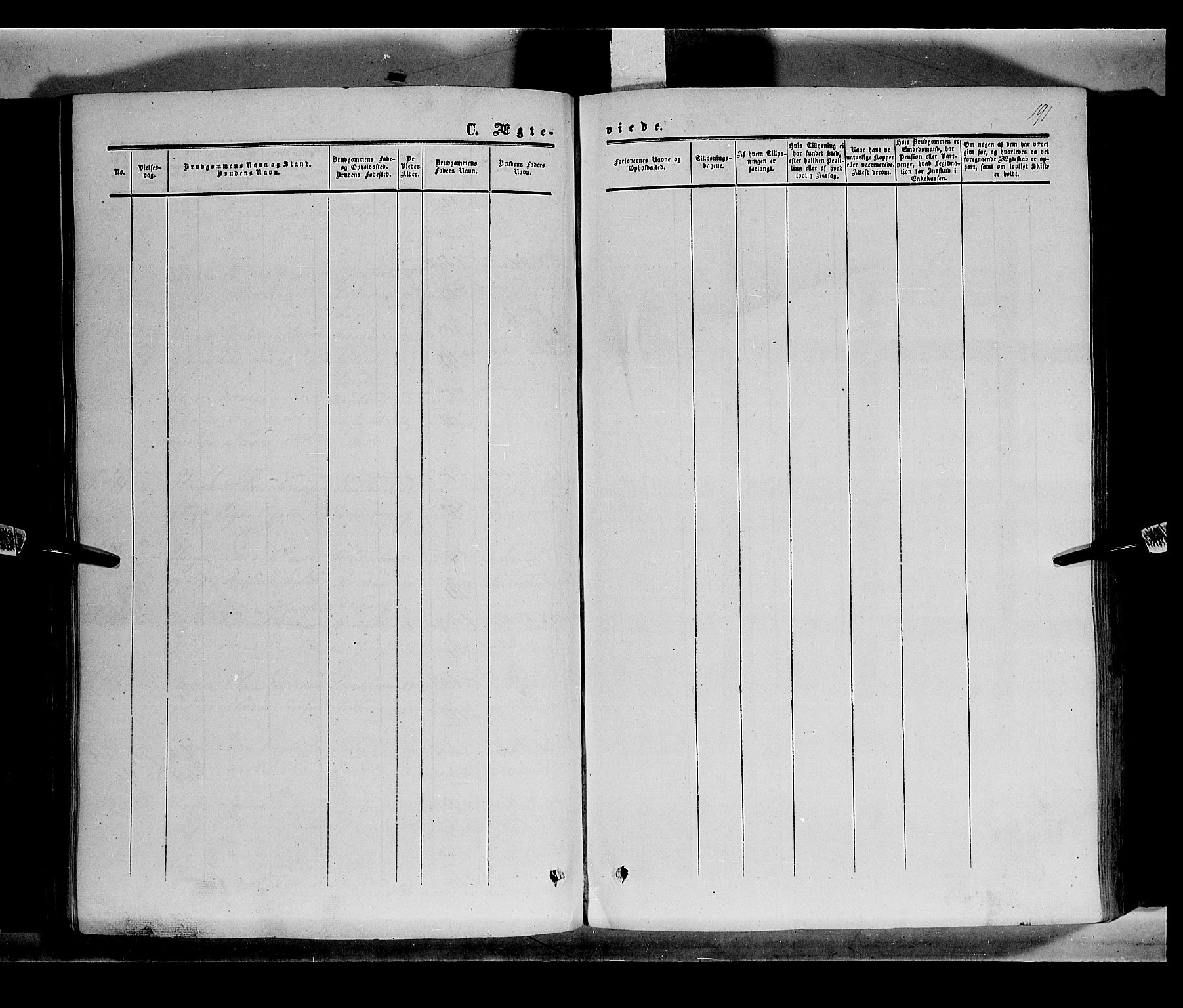 Sør-Odal prestekontor, AV/SAH-PREST-030/H/Ha/Haa/L0002: Parish register (official) no. 2, 1859-1863, p. 191