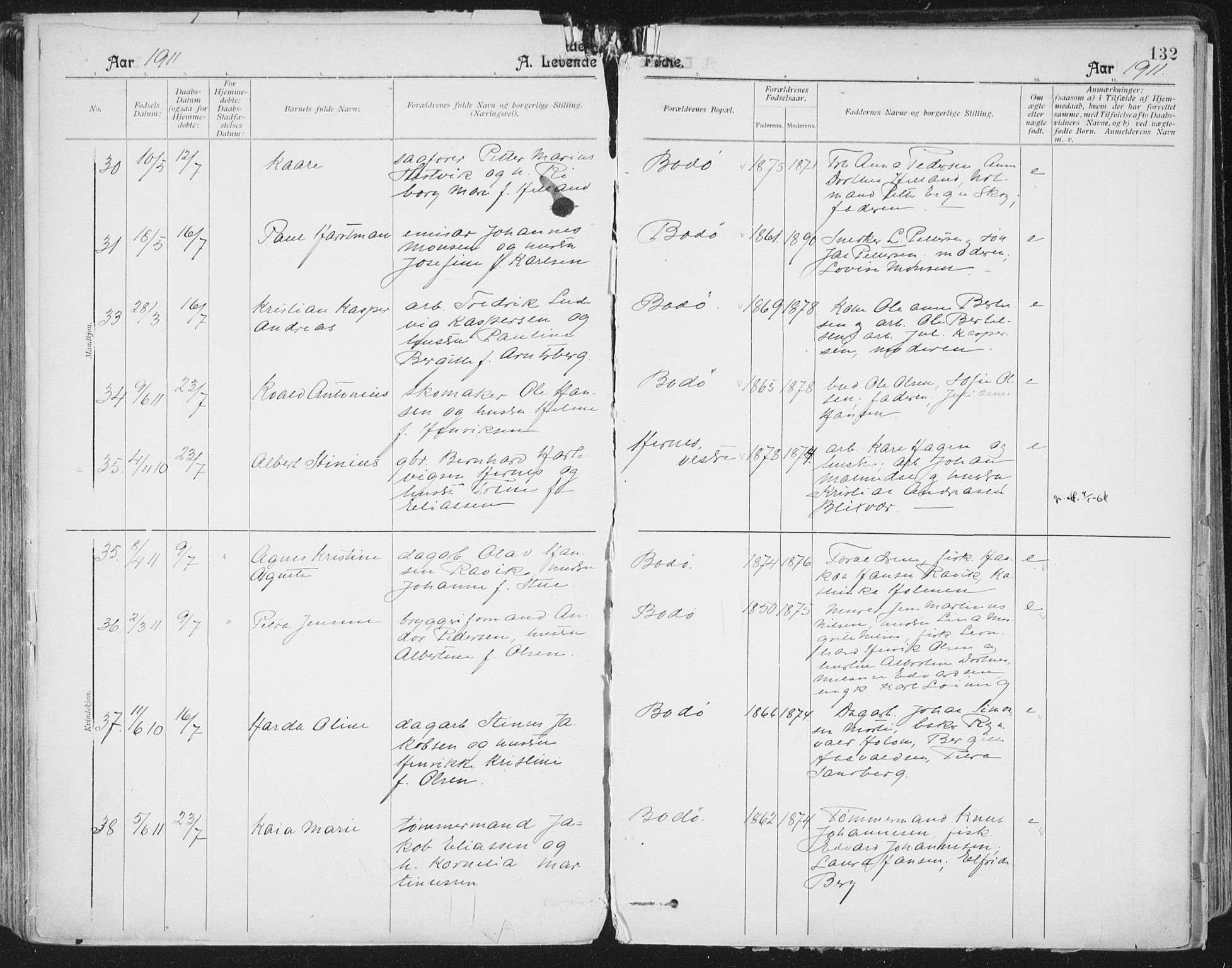 Ministerialprotokoller, klokkerbøker og fødselsregistre - Nordland, AV/SAT-A-1459/801/L0011: Parish register (official) no. 801A11, 1900-1916, p. 132