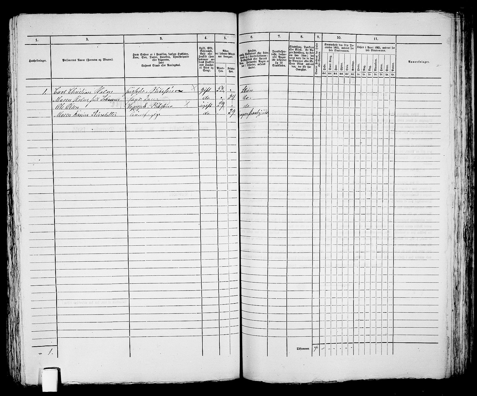 RA, 1865 census for Skien, 1865, p. 739