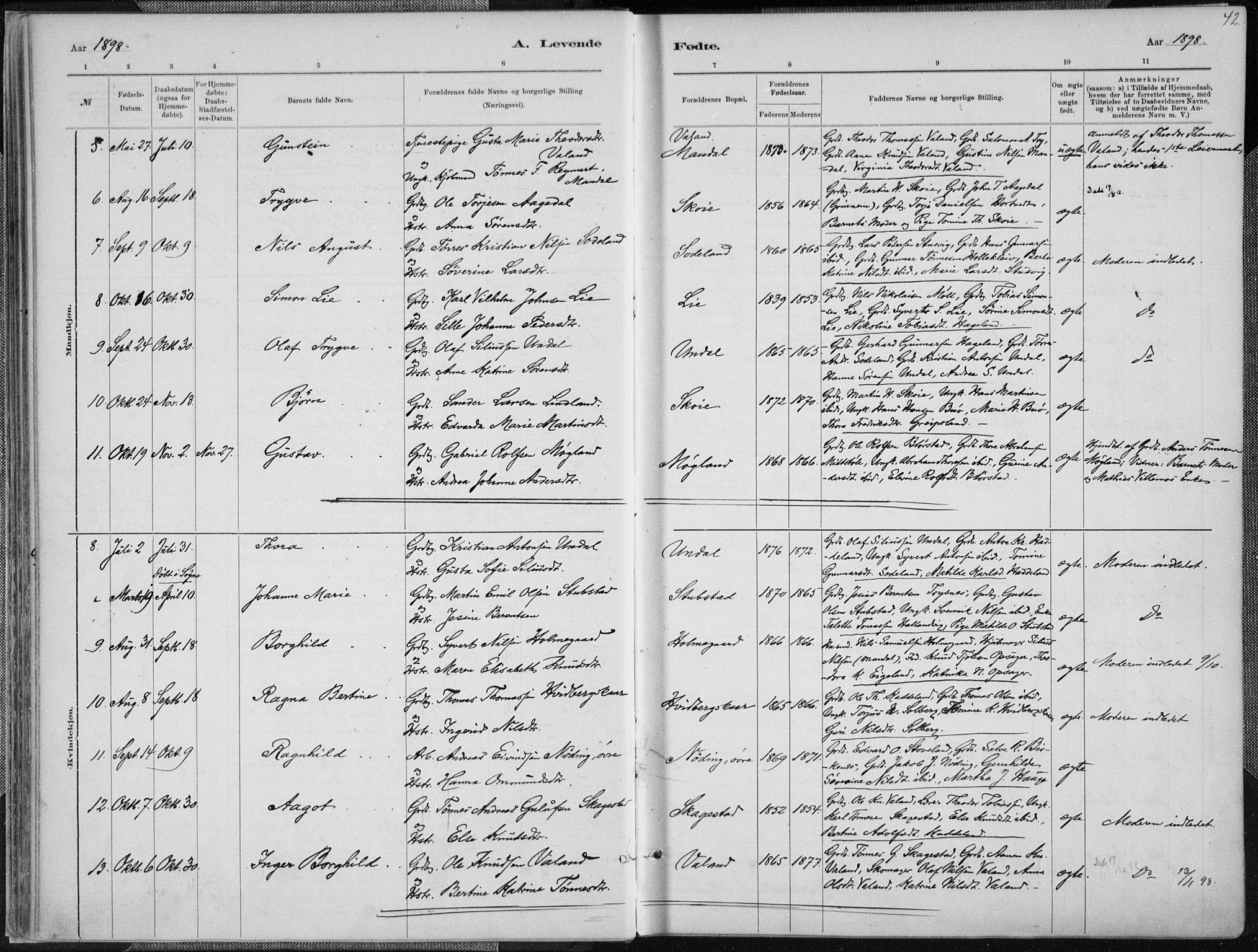 Holum sokneprestkontor, SAK/1111-0022/F/Fa/Faa/L0007: Parish register (official) no. A 7, 1884-1907, p. 42