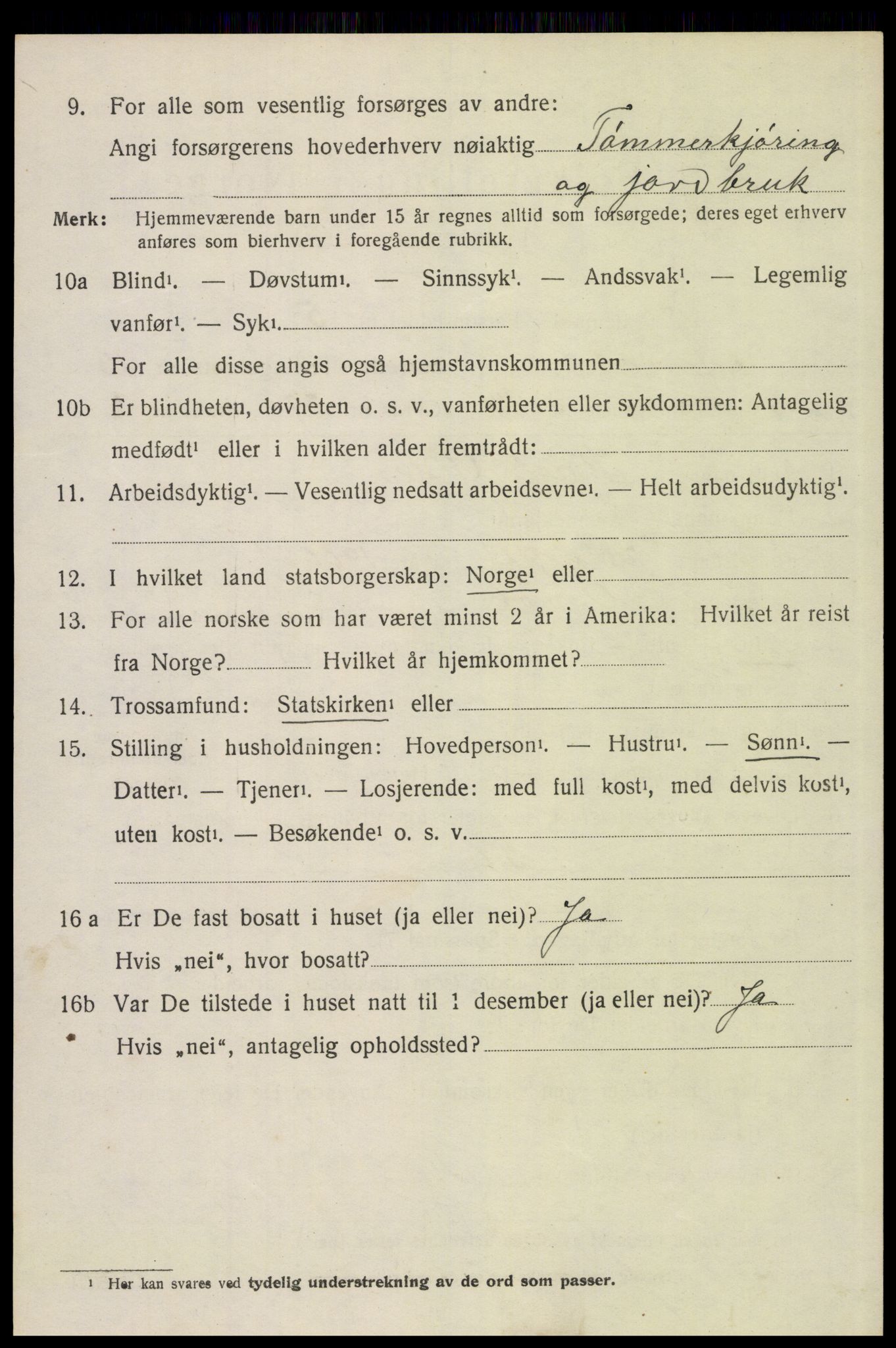 SAH, 1920 census for Åmot, 1920, p. 10892