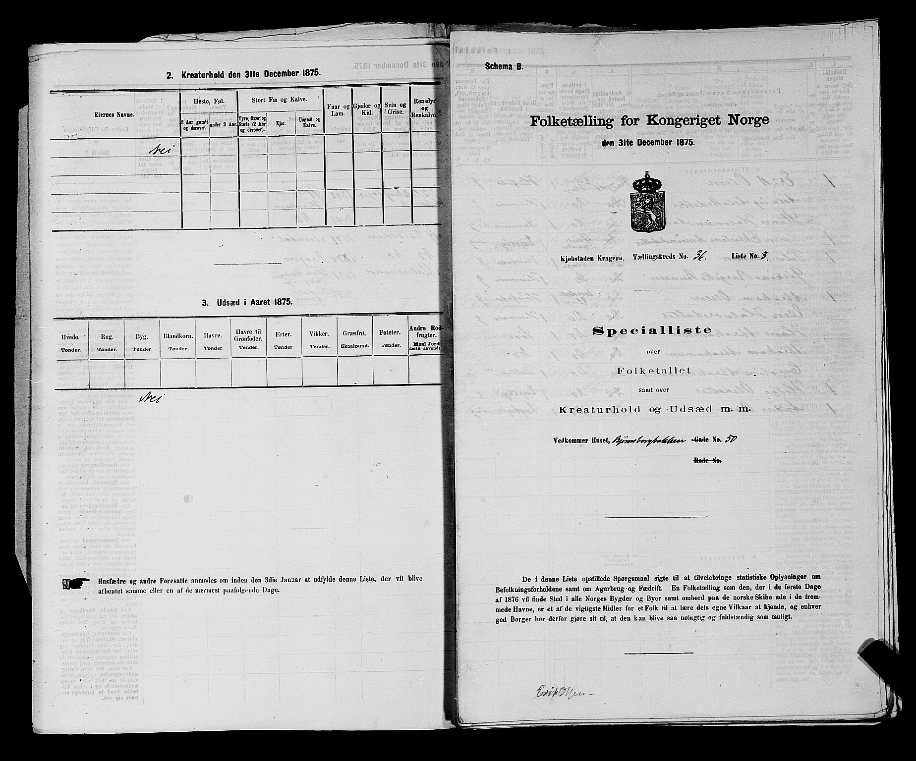 SAKO, 1875 census for 0801P Kragerø, 1875, p. 809