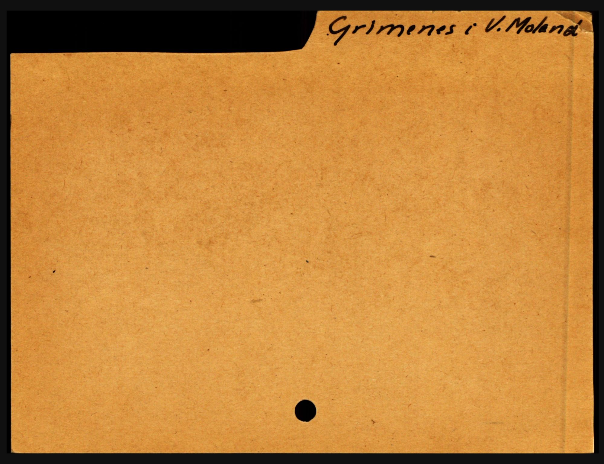 Nedenes sorenskriveri før 1824, SAK/1221-0007/H, p. 9779