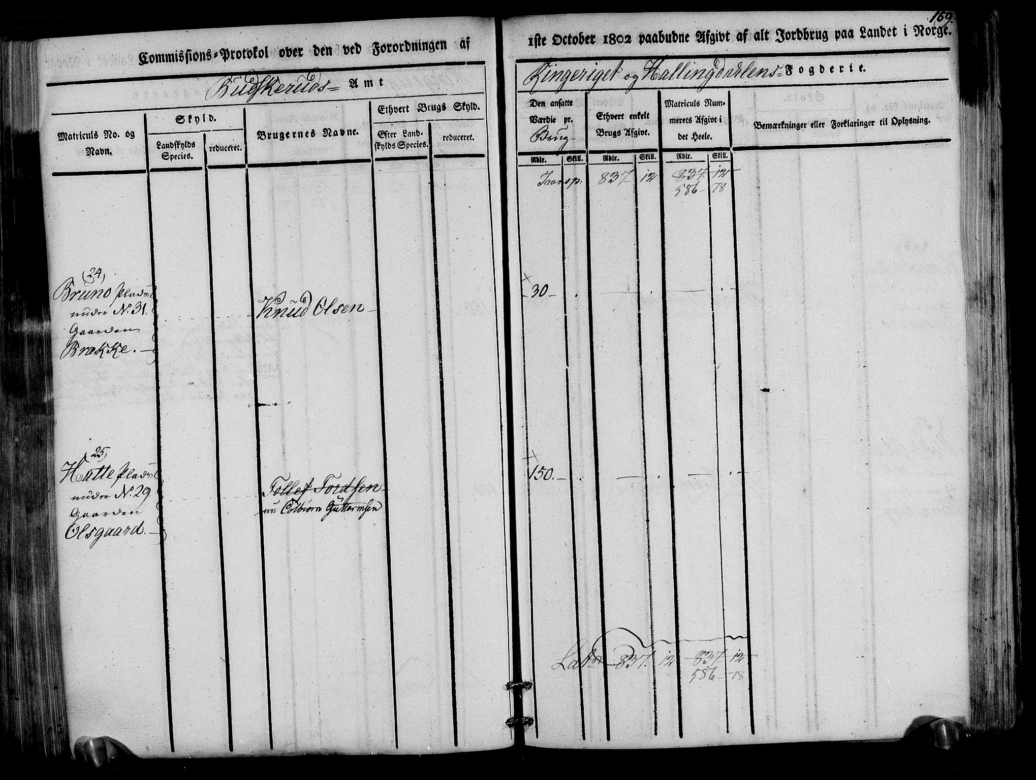 Rentekammeret inntil 1814, Realistisk ordnet avdeling, AV/RA-EA-4070/N/Ne/Nea/L0047: Ringerike og Hallingdal fogderi. Kommisjonsprotokoll for Nes prestegjeld, 1803, p. 162