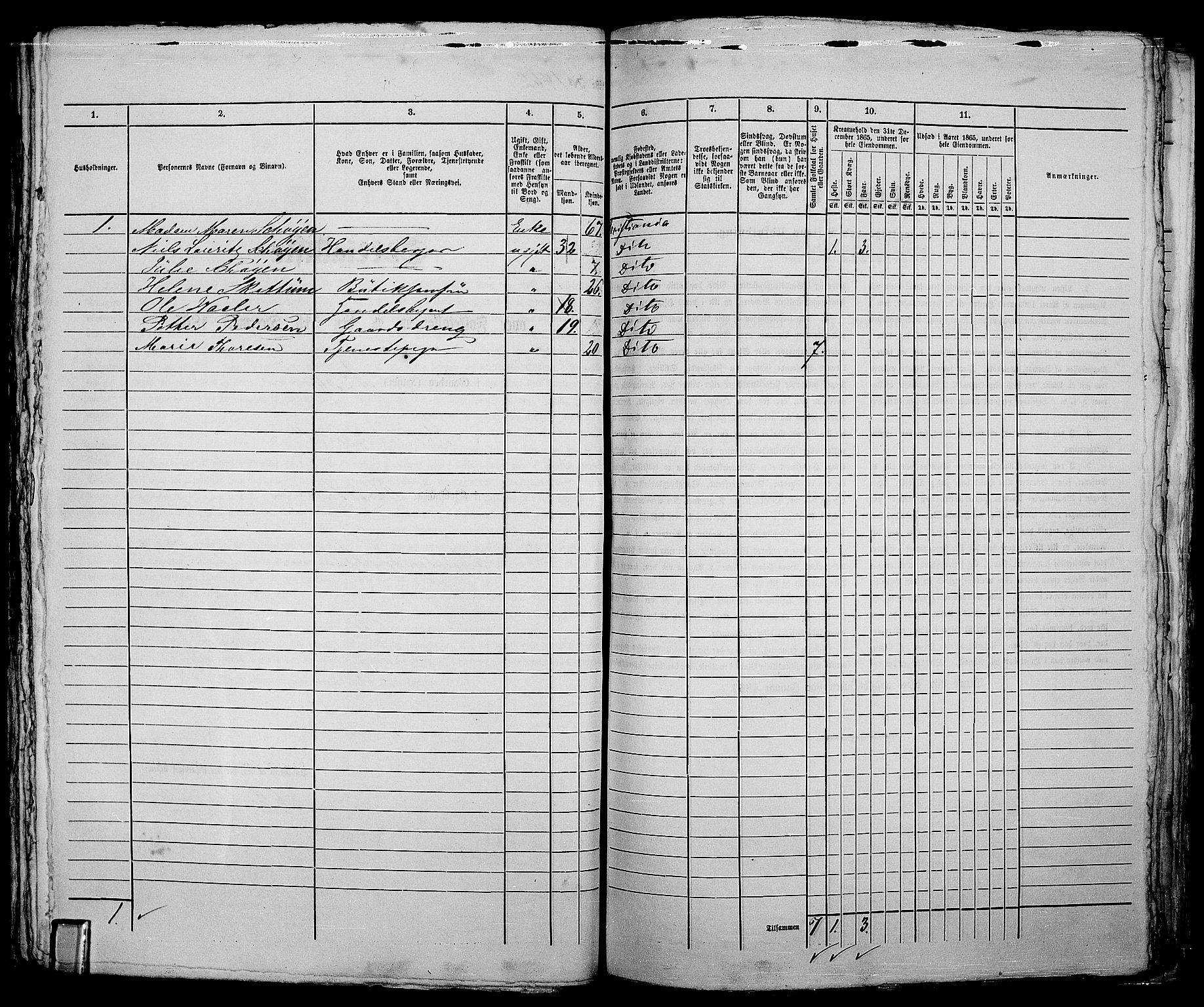 RA, 1865 census for Kristiania, 1865, p. 3319