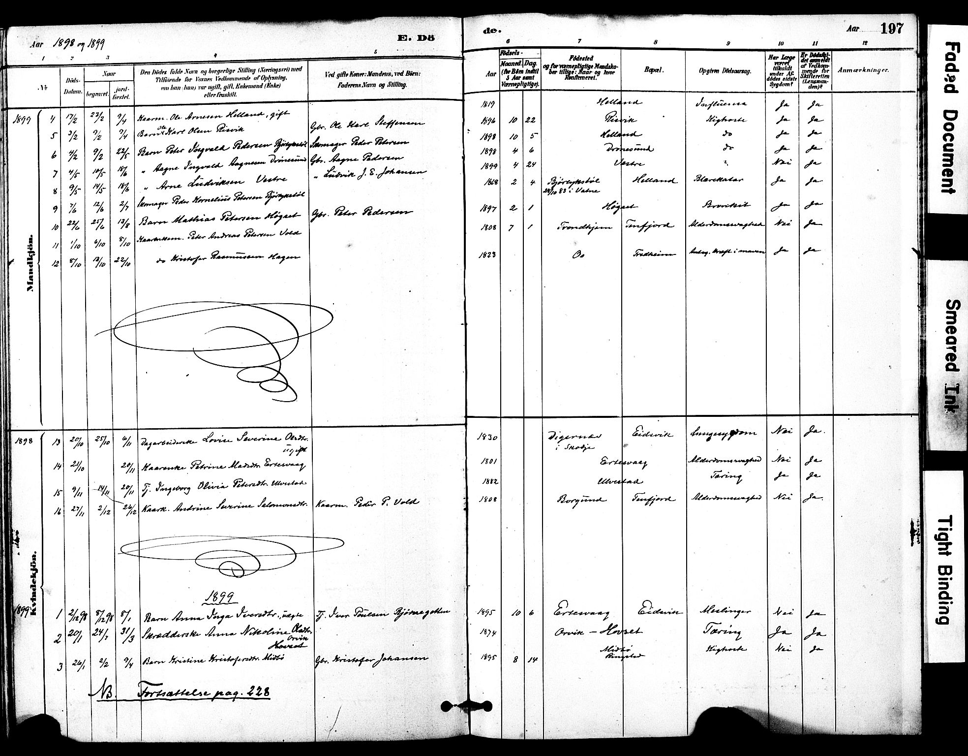 Ministerialprotokoller, klokkerbøker og fødselsregistre - Møre og Romsdal, AV/SAT-A-1454/525/L0374: Parish register (official) no. 525A04, 1880-1899, p. 197