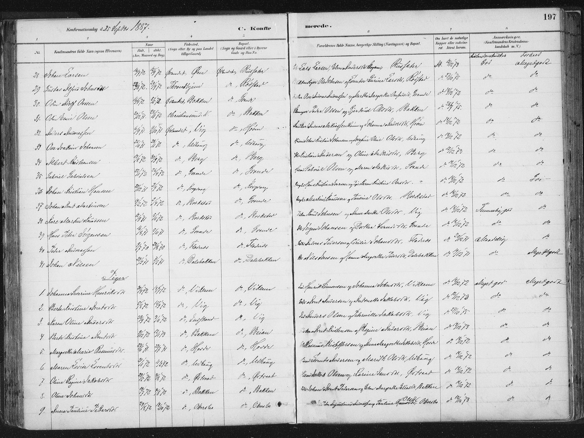 Ministerialprotokoller, klokkerbøker og fødselsregistre - Sør-Trøndelag, SAT/A-1456/659/L0739: Parish register (official) no. 659A09, 1879-1893, p. 197