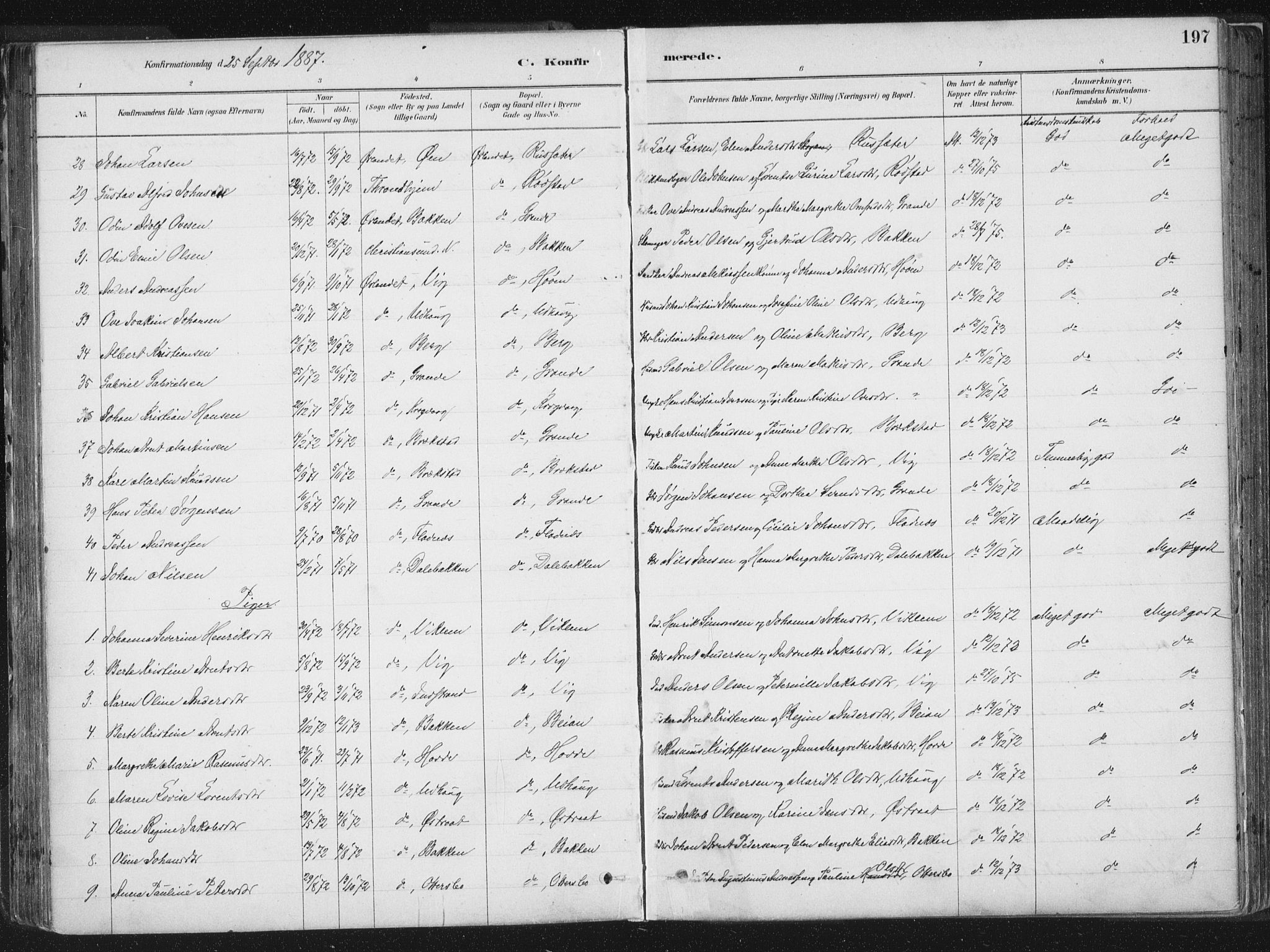 Ministerialprotokoller, klokkerbøker og fødselsregistre - Sør-Trøndelag, AV/SAT-A-1456/659/L0739: Parish register (official) no. 659A09, 1879-1893, p. 197