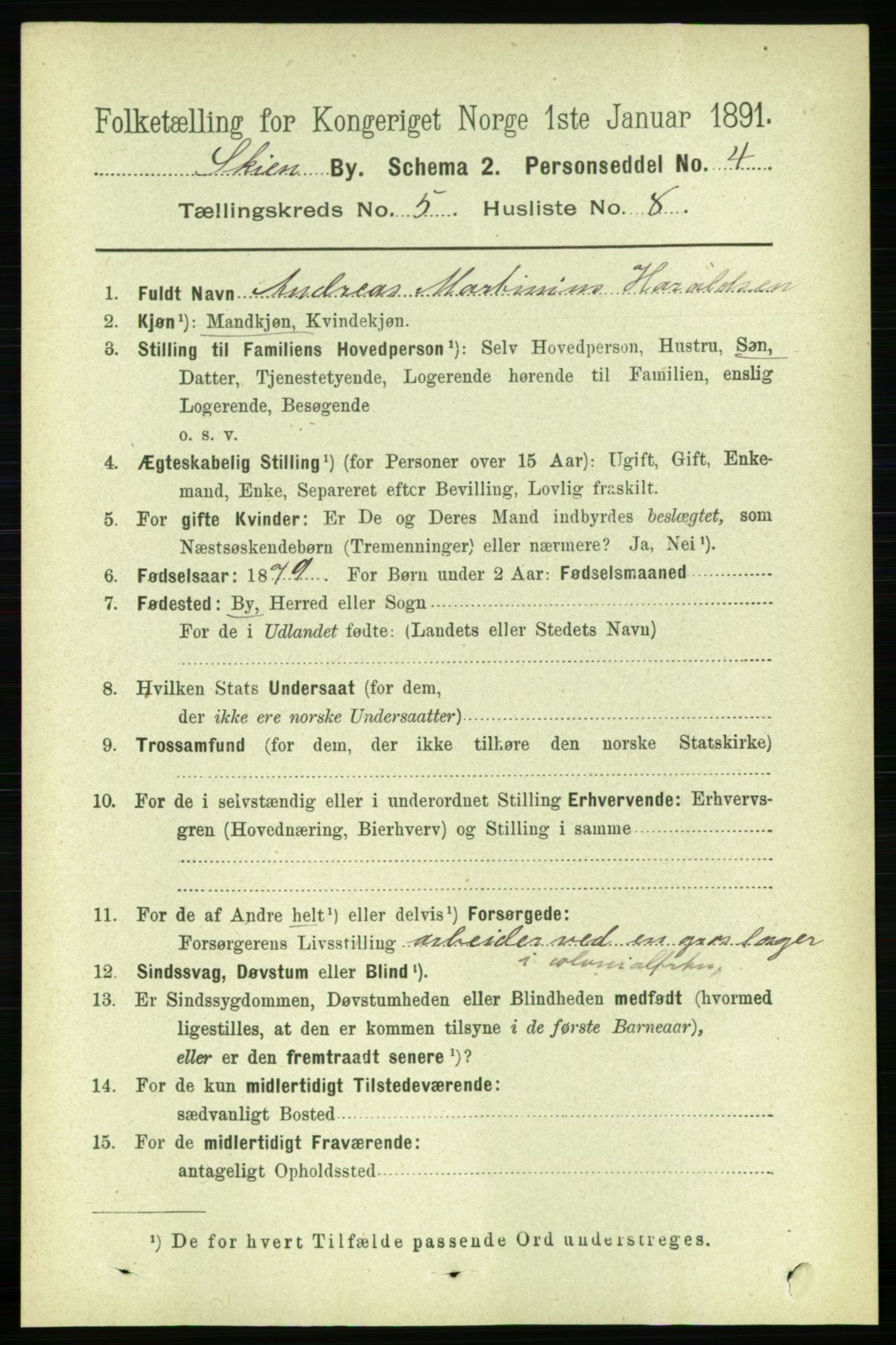 RA, 1891 census for 0806 Skien, 1891, p. 2965