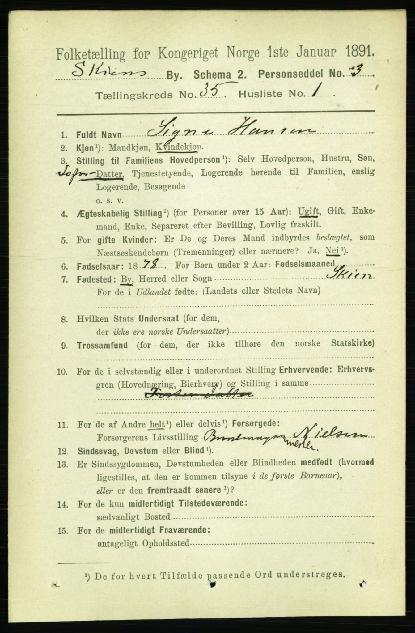 RA, 1891 census for 0806 Skien, 1891, p. 7817