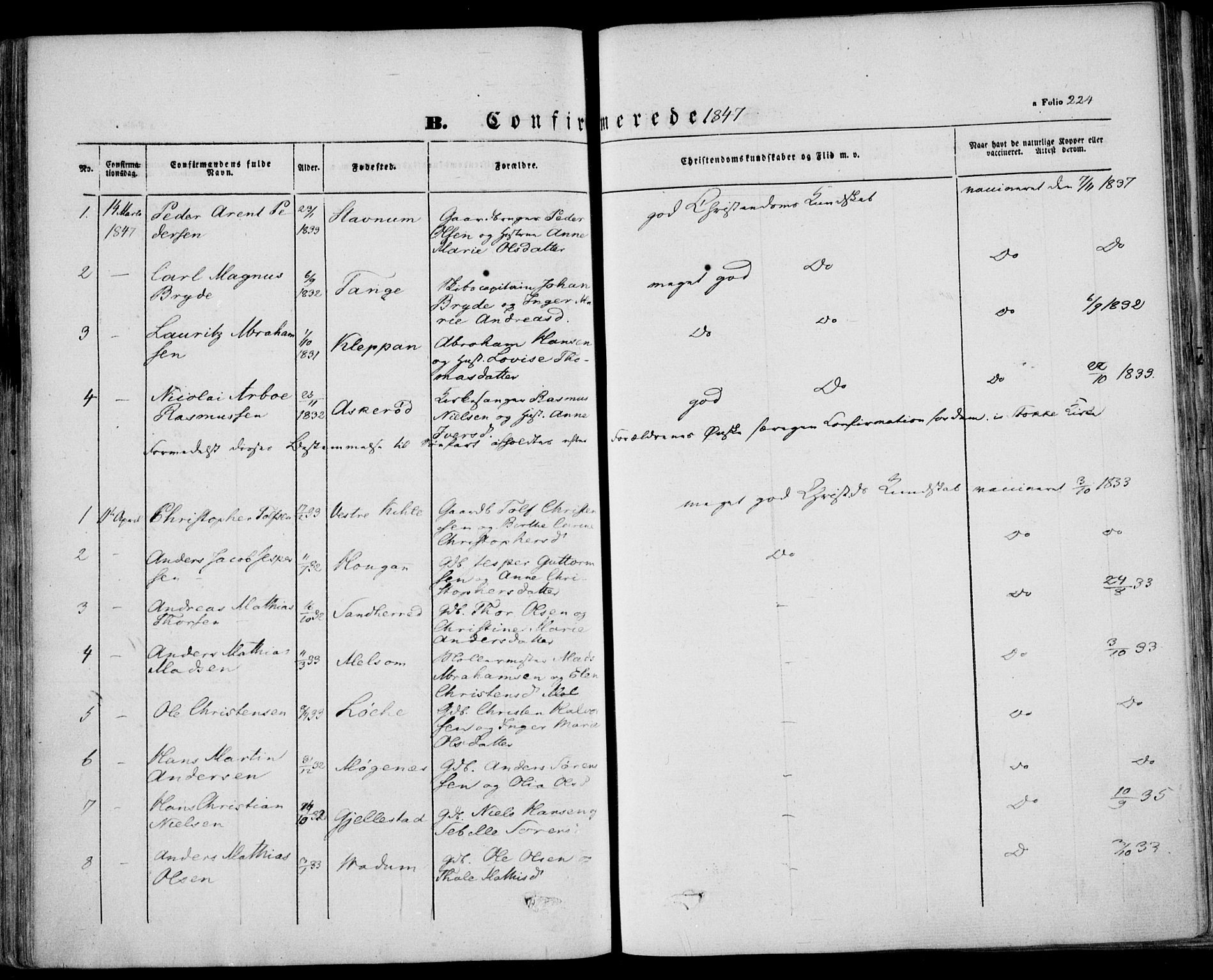 Stokke kirkebøker, AV/SAKO-A-320/F/Fa/L0007: Parish register (official) no. I 7, 1844-1857, p. 224