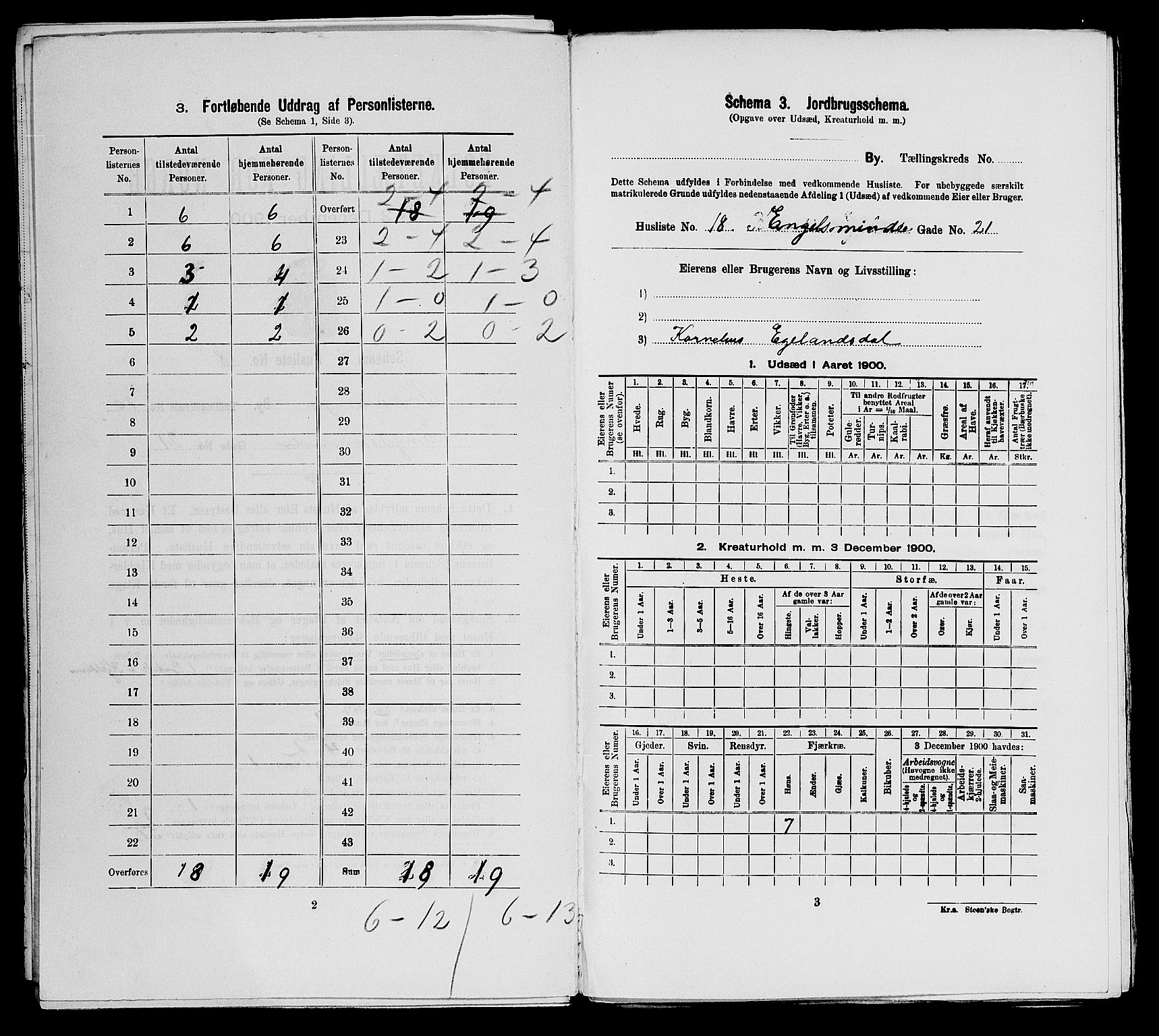 SAST, 1900 census for Stavanger, 1900, p. 4530