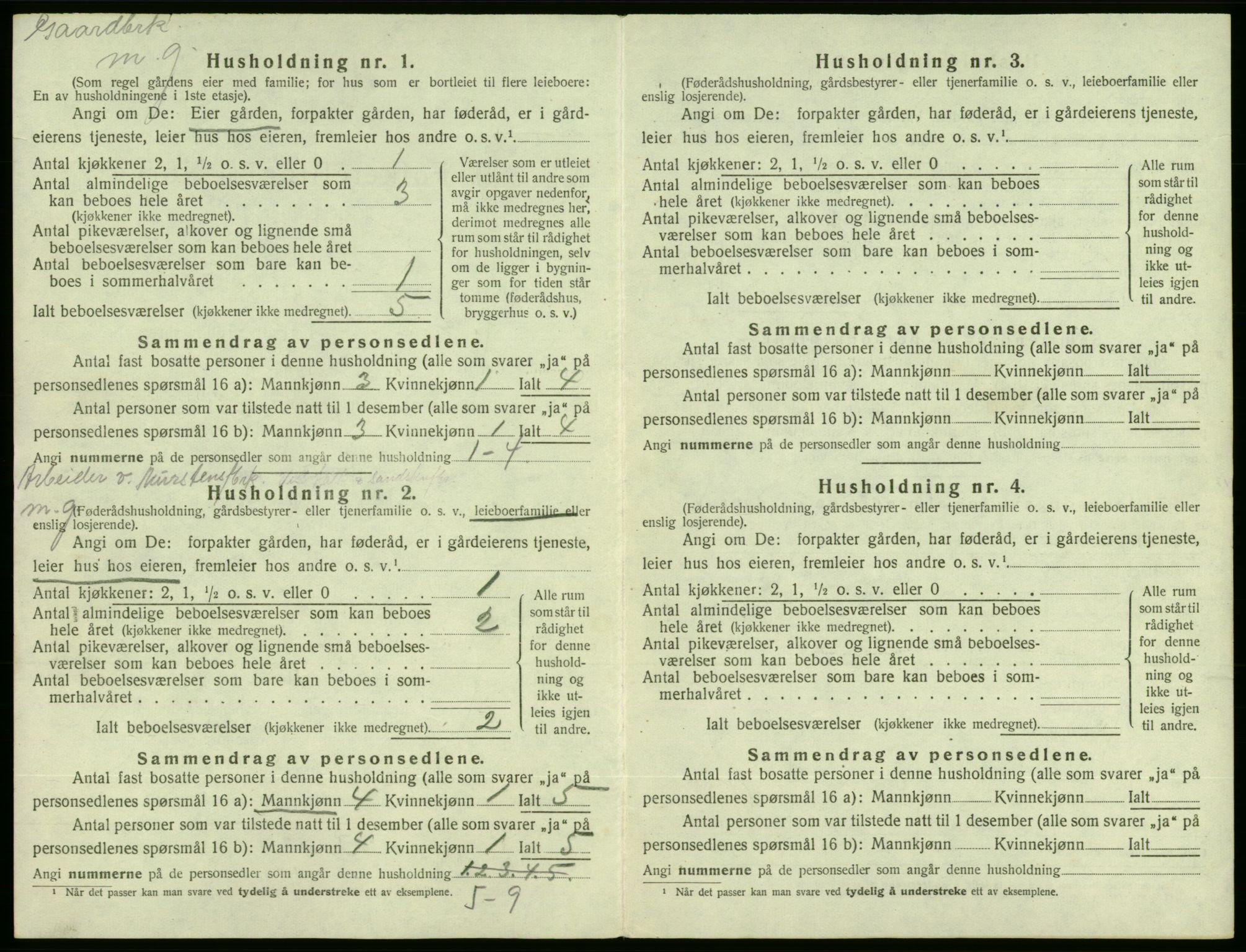 SAB, 1920 census for Etne, 1920, p. 42