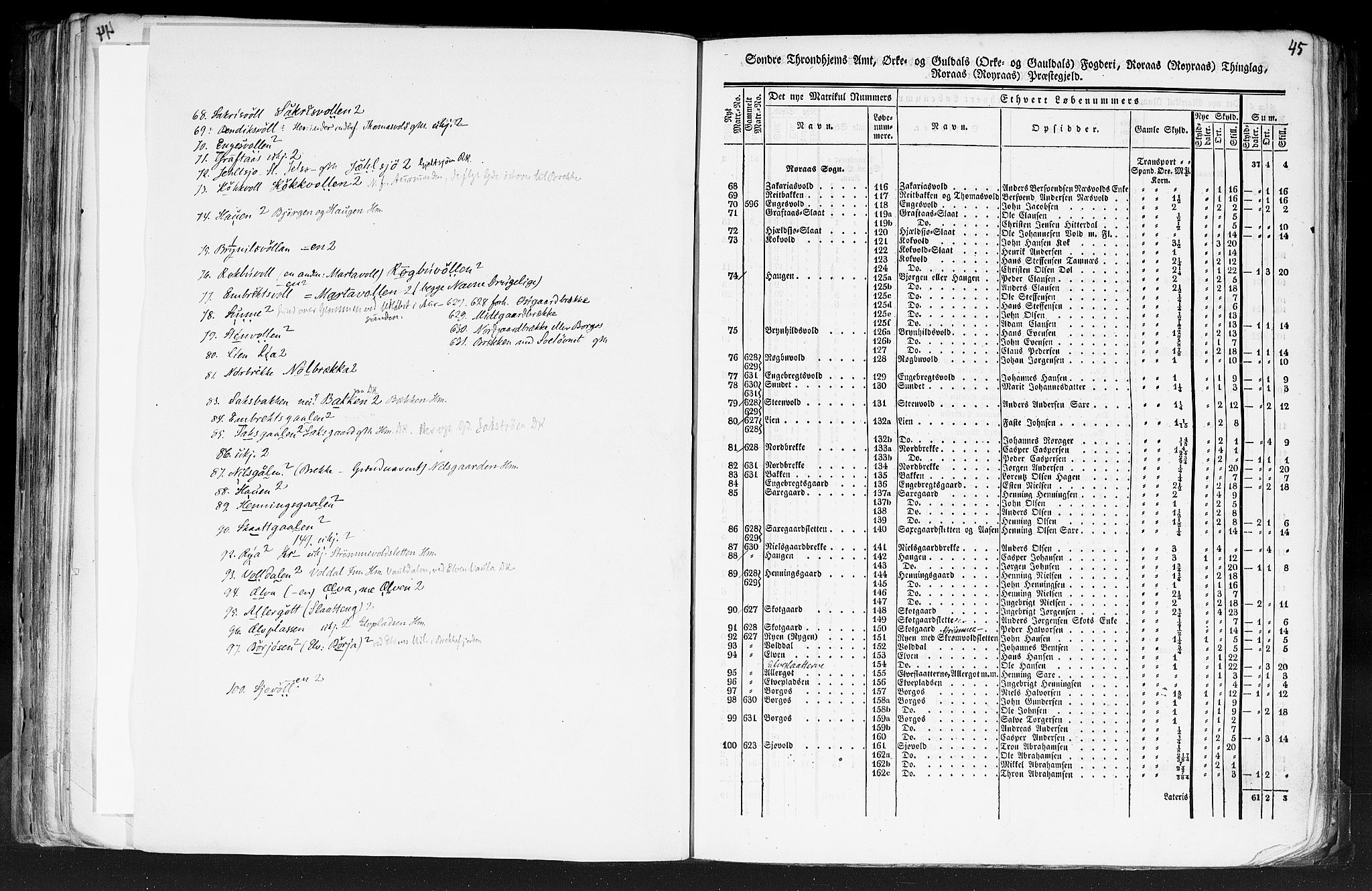 Rygh, RA/PA-0034/F/Fb/L0014: Matrikkelen for 1838 - Søndre Trondhjems amt (Sør-Trøndelag fylke), 1838, p. 45a