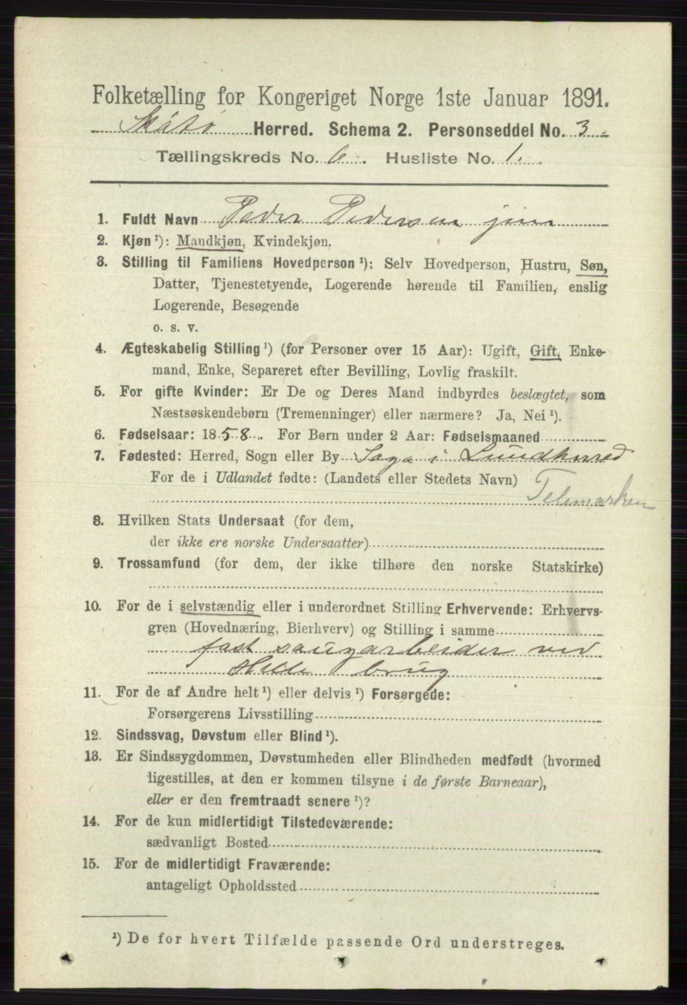 RA, 1891 census for 0815 Skåtøy, 1891, p. 2898