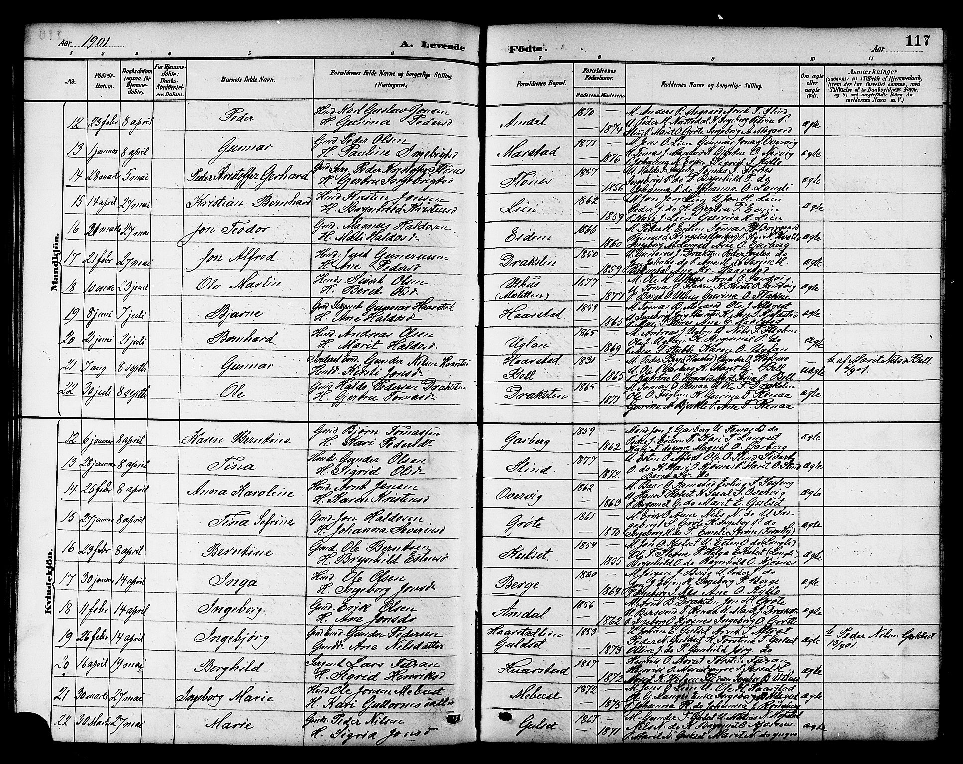 Ministerialprotokoller, klokkerbøker og fødselsregistre - Sør-Trøndelag, SAT/A-1456/695/L1157: Parish register (copy) no. 695C08, 1889-1913, p. 117