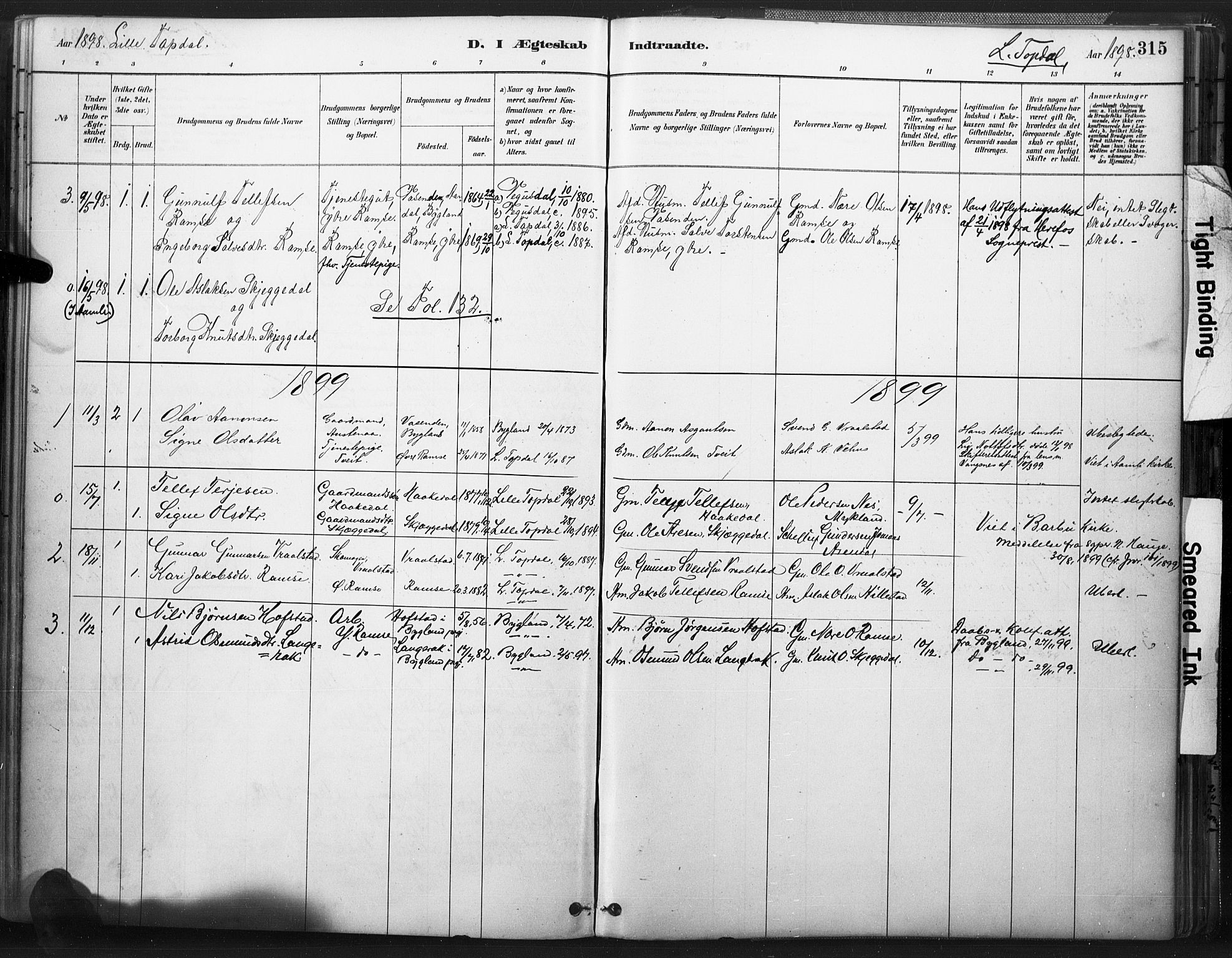 Åmli sokneprestkontor, SAK/1111-0050/F/Fa/Fac/L0010: Parish register (official) no. A 10 /3, 1885-1899, p. 315