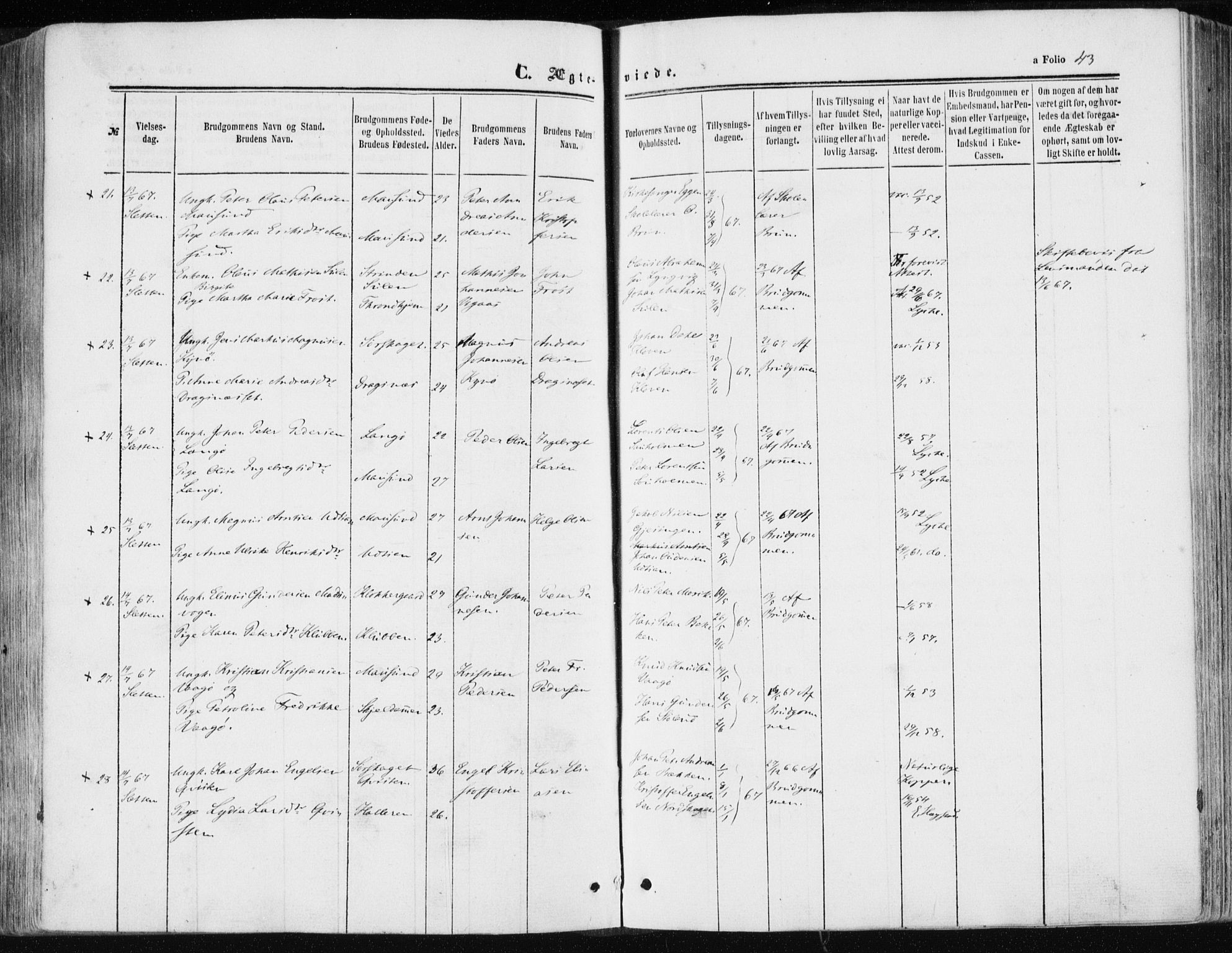 Ministerialprotokoller, klokkerbøker og fødselsregistre - Sør-Trøndelag, AV/SAT-A-1456/634/L0531: Parish register (official) no. 634A07, 1861-1870, p. 43