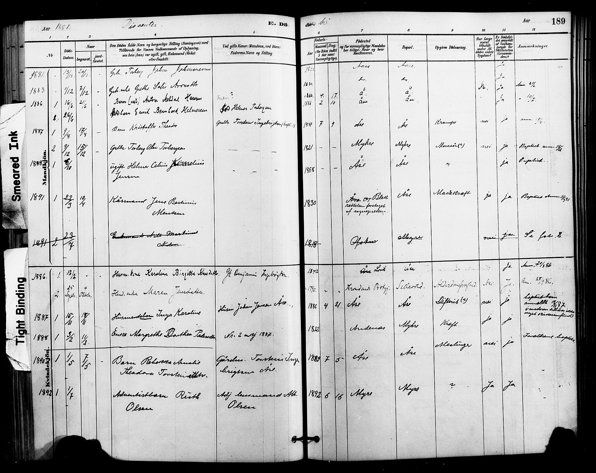 Ministerialprotokoller, klokkerbøker og fødselsregistre - Nordland, AV/SAT-A-1459/897/L1399: Parish register (official) no. 897C06, 1881-1896, p. 189