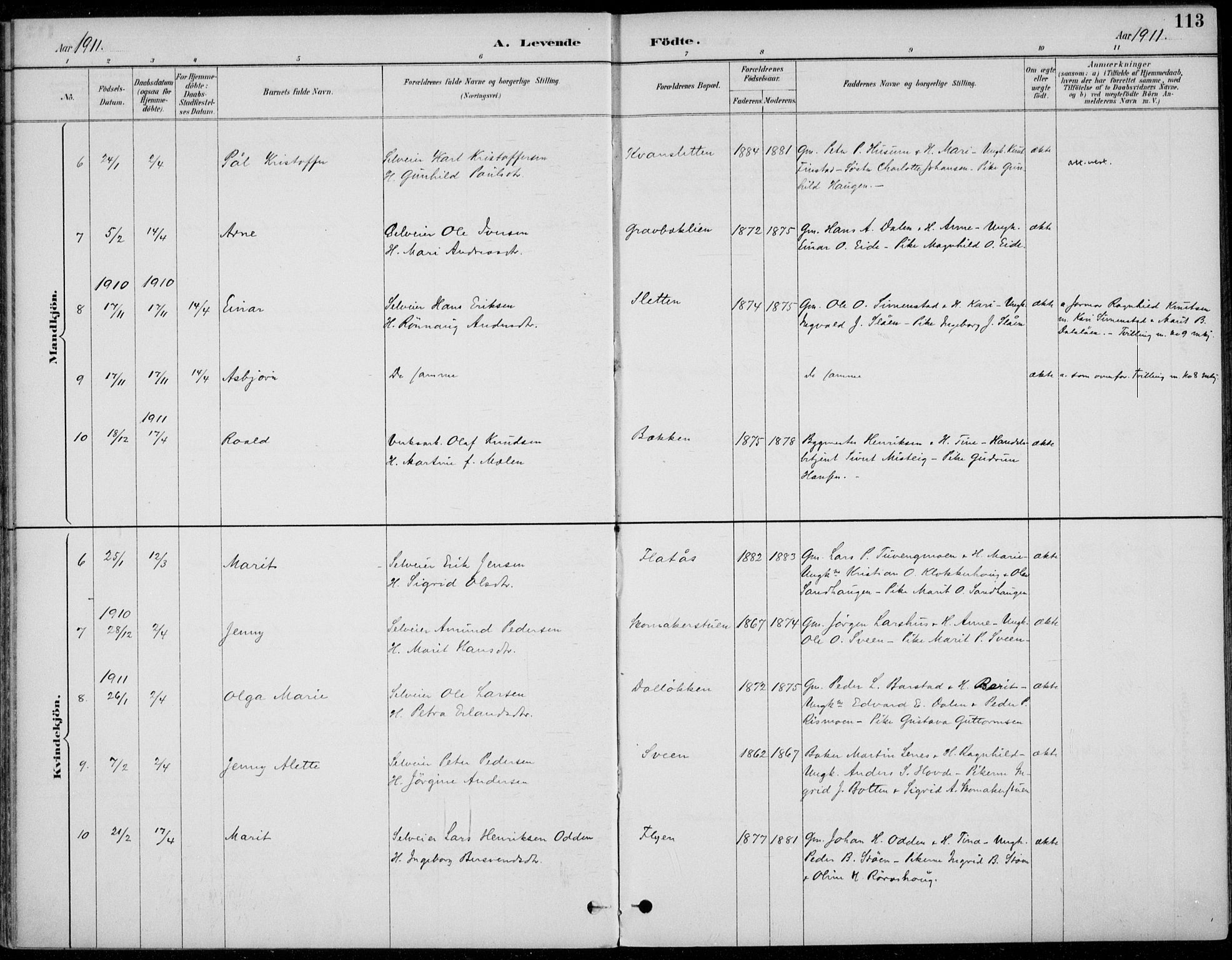 Alvdal prestekontor, AV/SAH-PREST-060/H/Ha/Haa/L0003: Parish register (official) no. 3, 1886-1912, p. 113