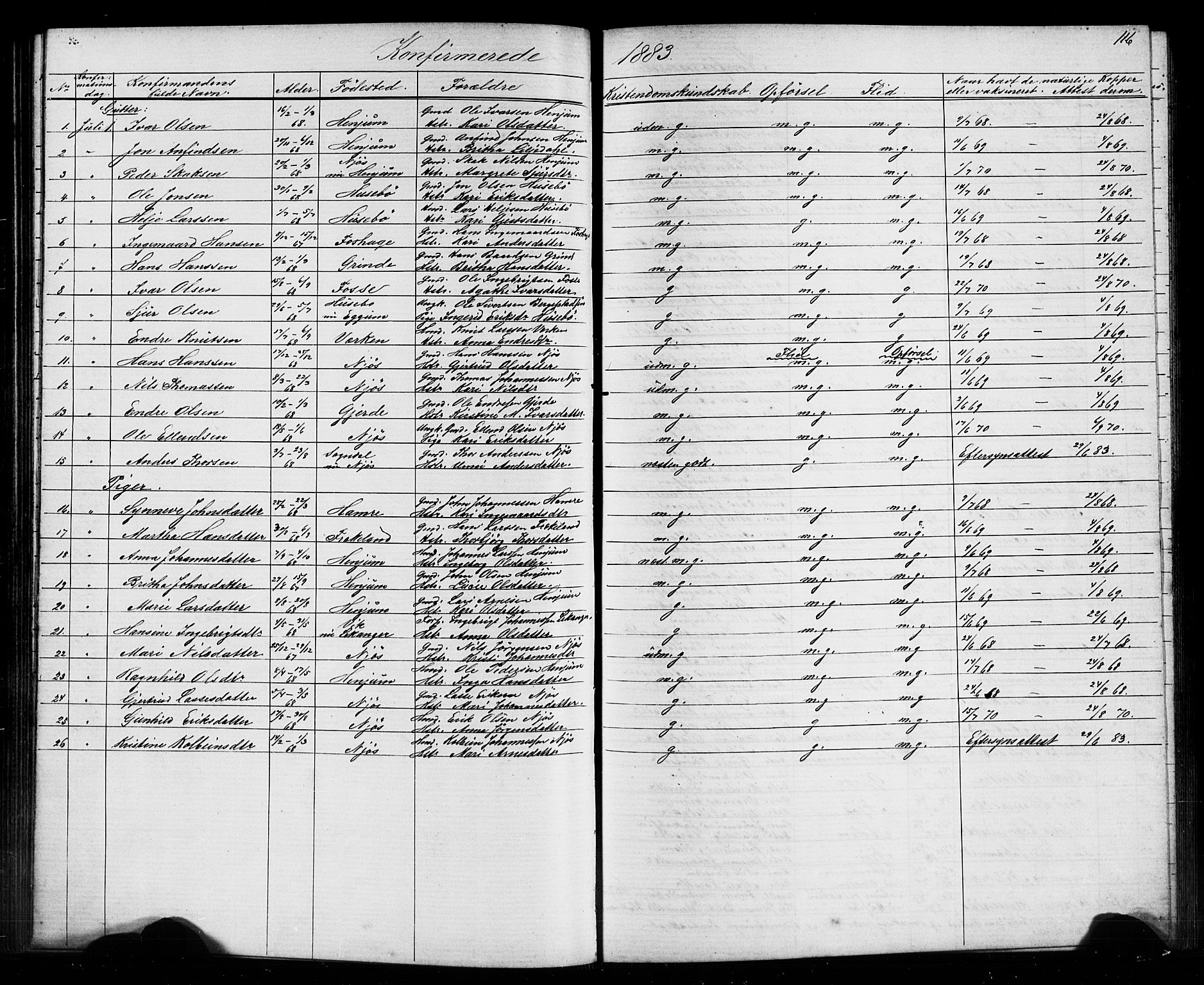 Leikanger sokneprestembete, SAB/A-81001: Parish register (copy) no. A 1, 1873-1916, p. 116