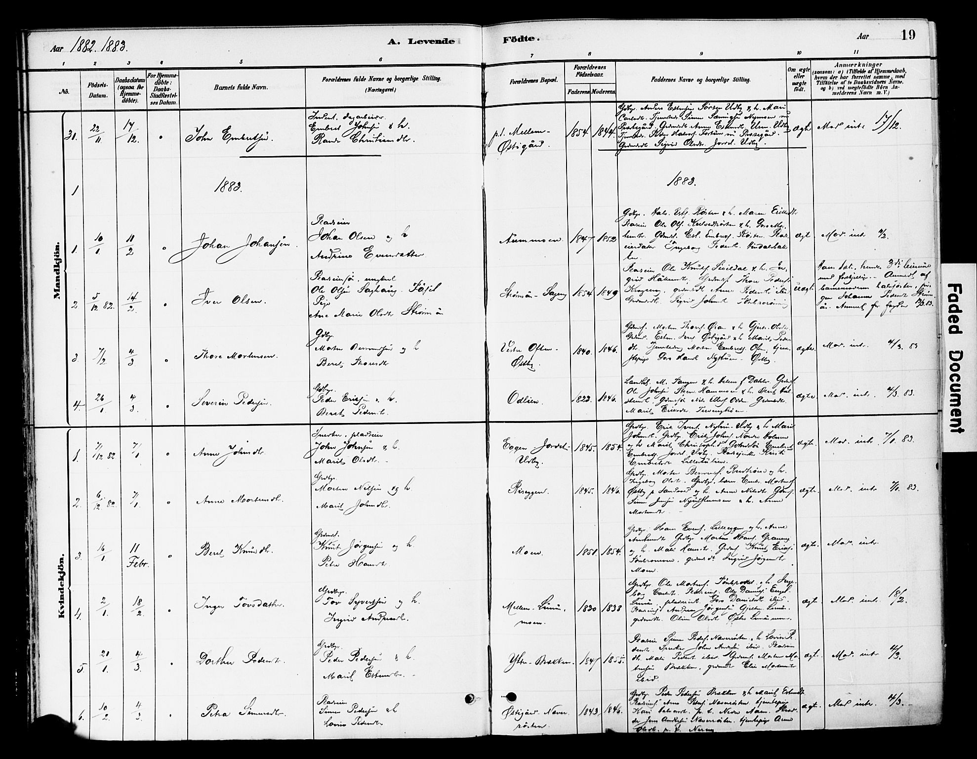 Tynset prestekontor, SAH/PREST-058/H/Ha/Haa/L0022: Parish register (official) no. 22, 1880-1899, p. 19
